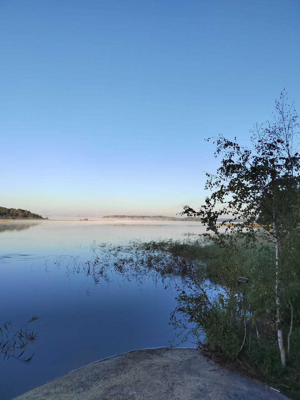 Another mushroom fishing trip - My, Camping, Fishing, Longpost, The photo