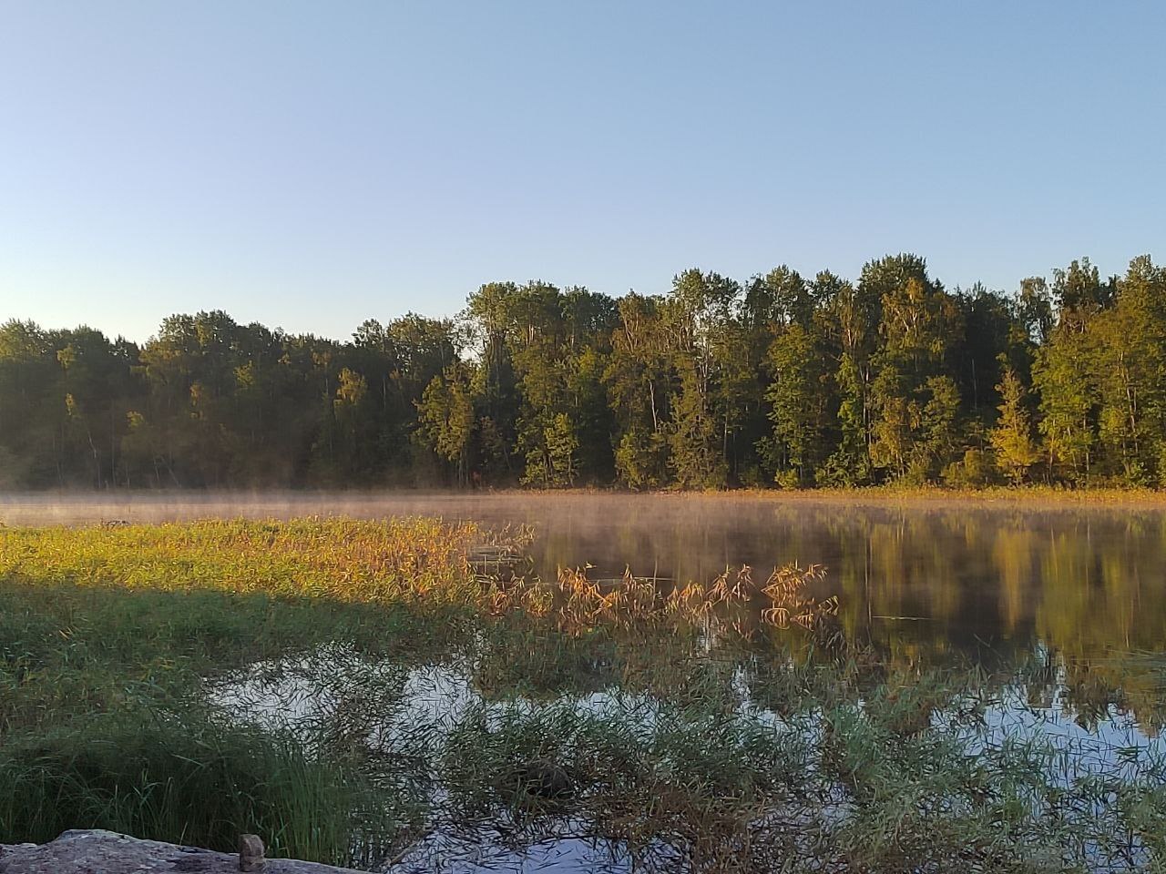 Another mushroom fishing trip - My, Camping, Fishing, Longpost, The photo