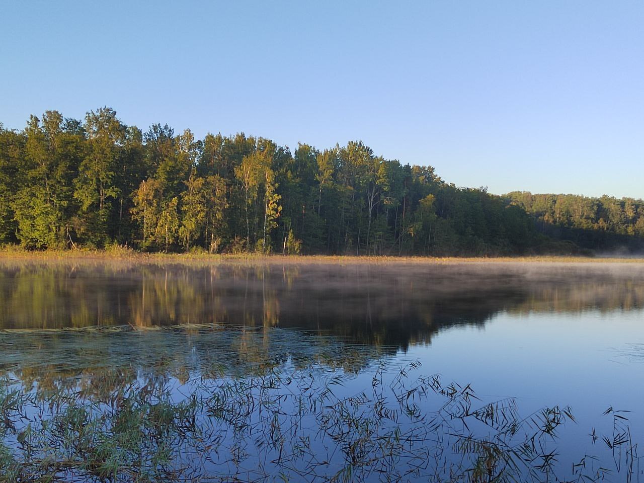 Another mushroom fishing trip - My, Camping, Fishing, Longpost, The photo