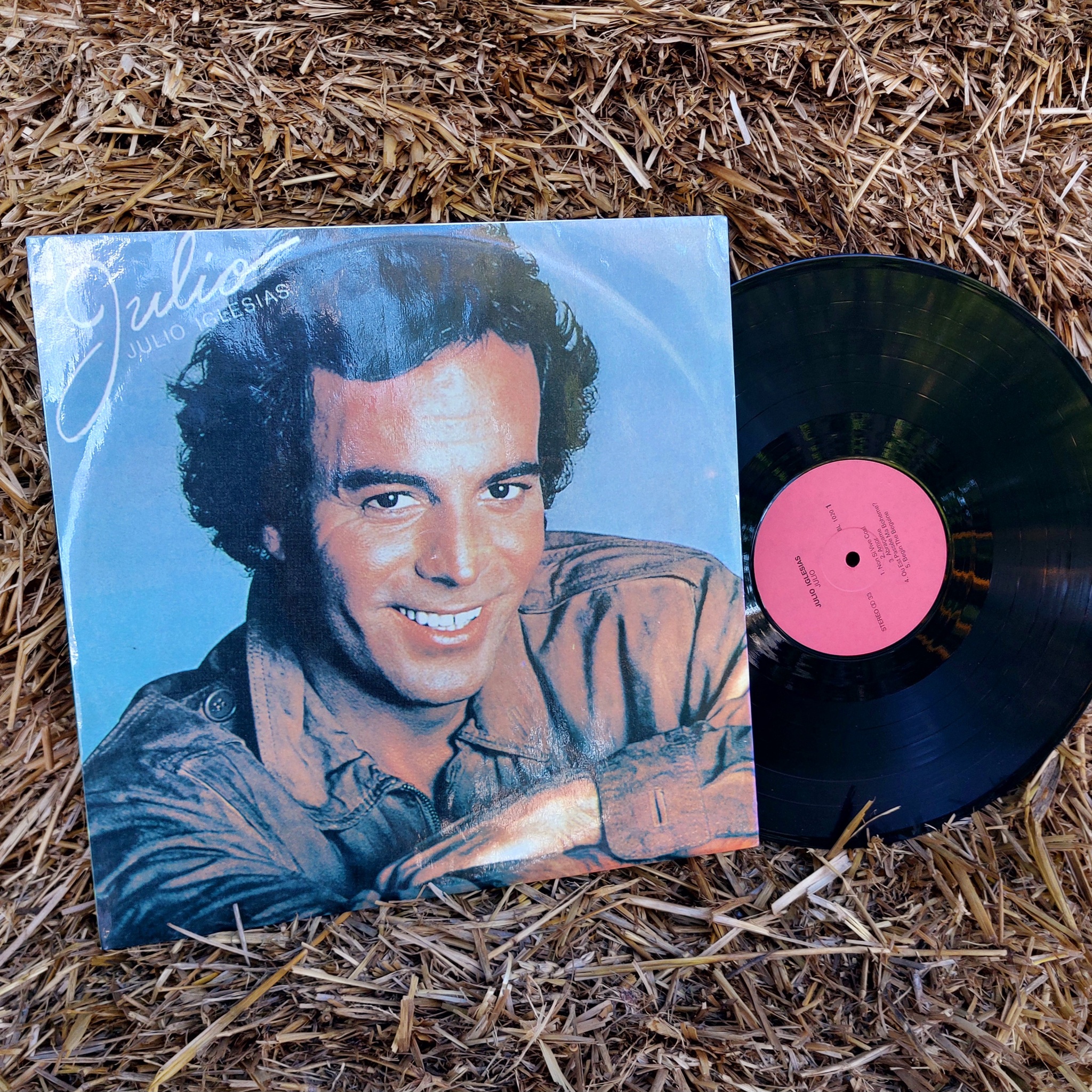 Julio Iglesias - Julio - Vinyl, Mobile photography, Vinyl records, Plate