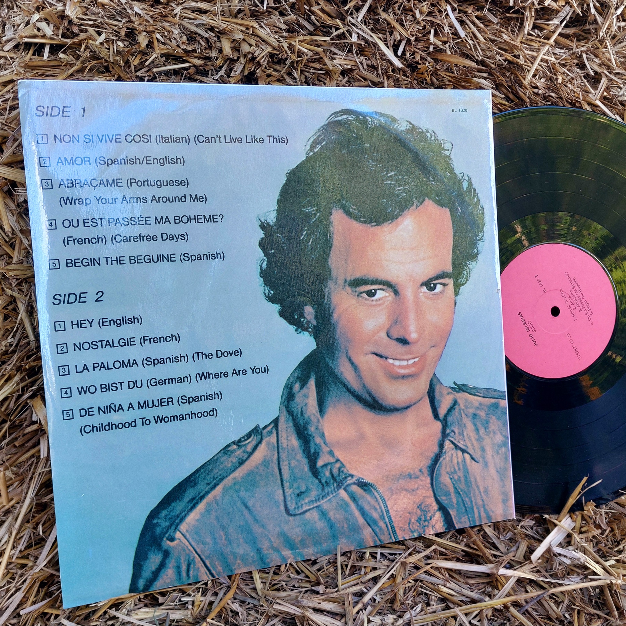 Julio Iglesias - Julio - Vinyl, Mobile photography, Vinyl records, Plate