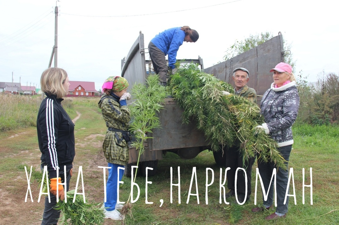 No drug addicts were harmed... - Addiction, Bashkortostan, Agidel, Addiction, Drugs, Cause