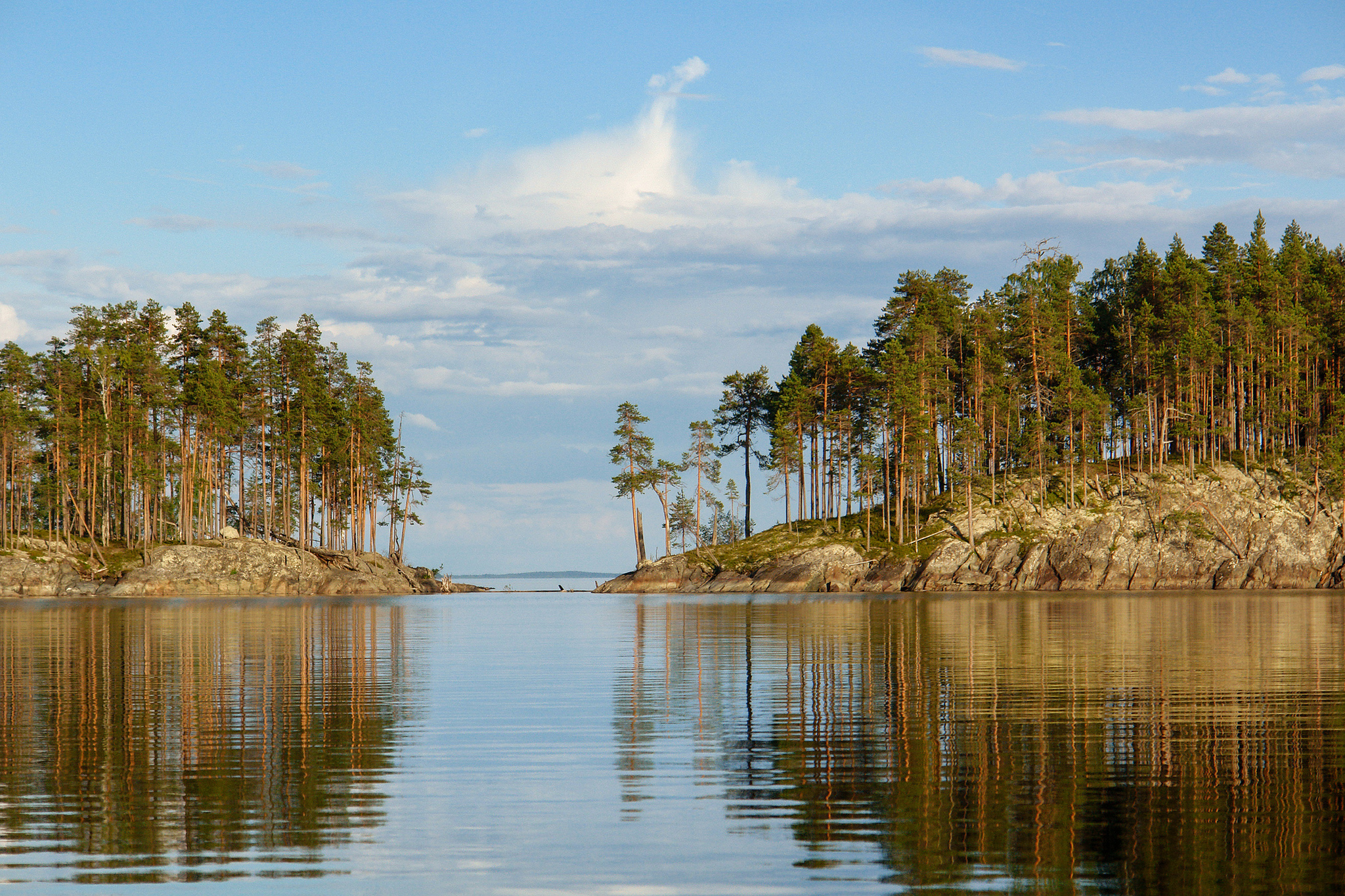 Evening on Segozero. Karelia - Landscape, Nature, Карелия, Lake, Reflection, Forest, Pine, Evening, The photo