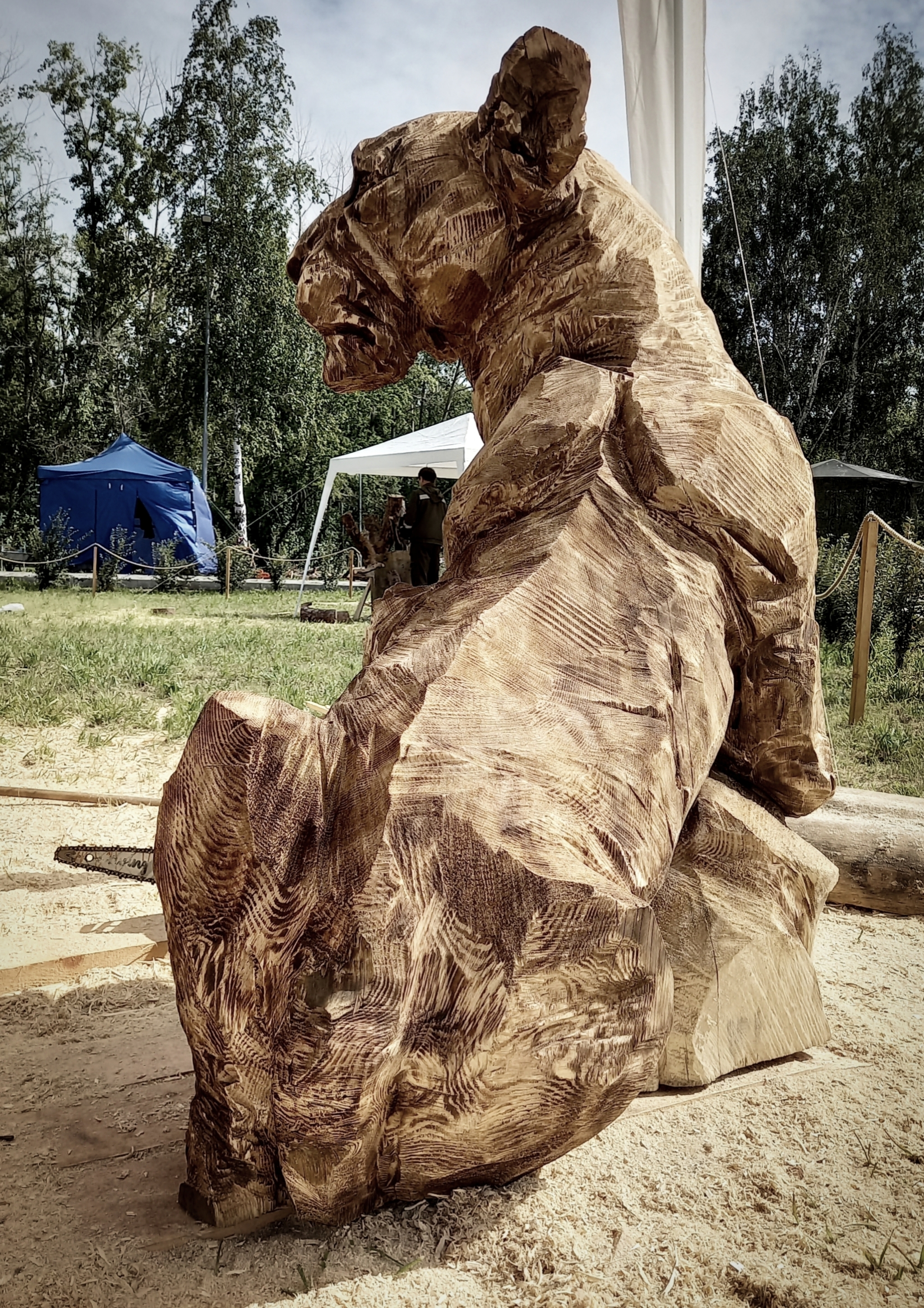 Wooden sculpture. Pride. Chainsaw wood carving - My, Wood carving, Wood sculpture, Woodworking, Art, a lion, Pride, Lion cubs, Lioness, Acrylic, Video, Youtube, Longpost