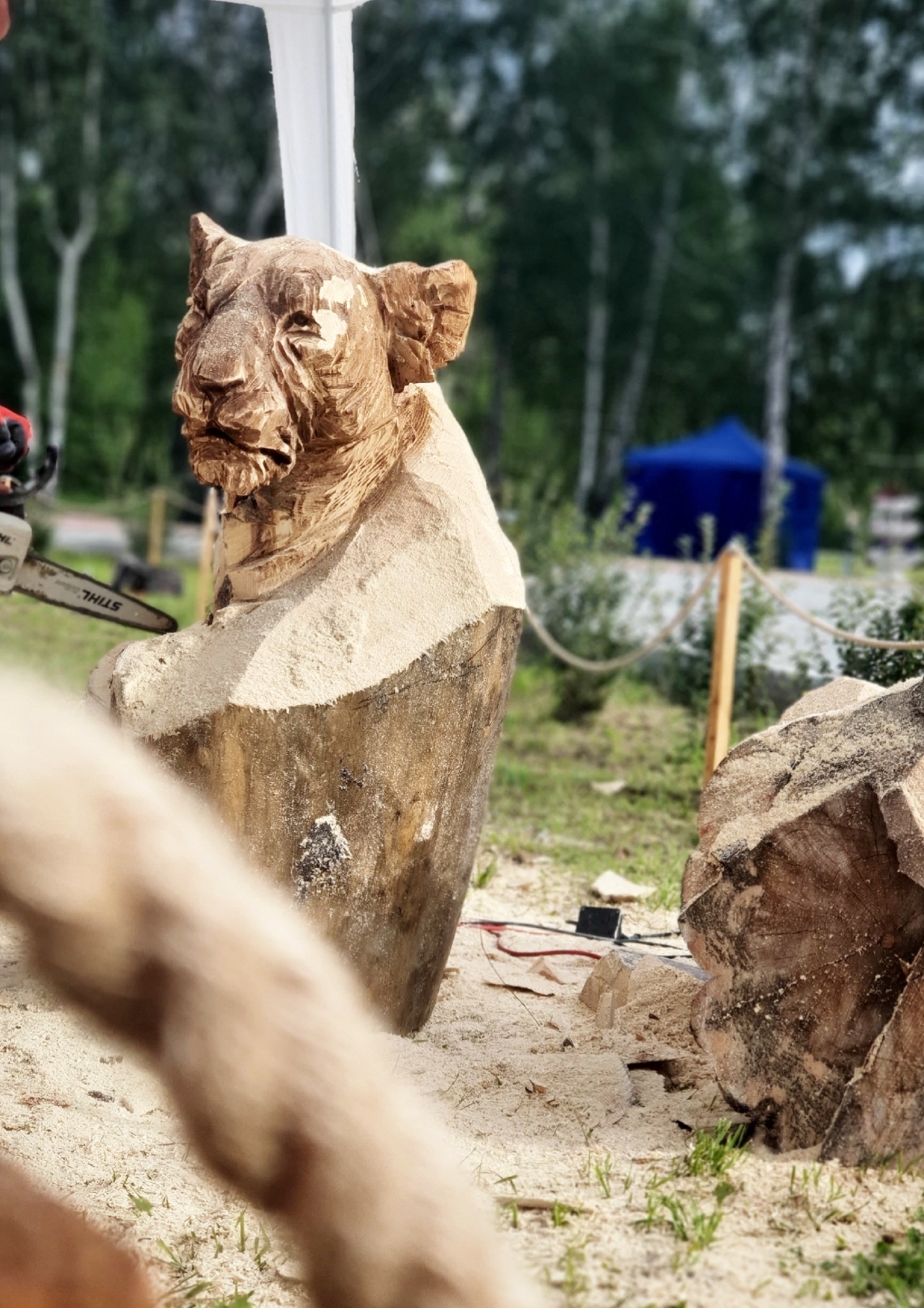 Wooden sculpture. Pride. Chainsaw wood carving - My, Wood carving, Wood sculpture, Woodworking, Art, a lion, Pride, Lion cubs, Lioness, Acrylic, Video, Youtube, Longpost