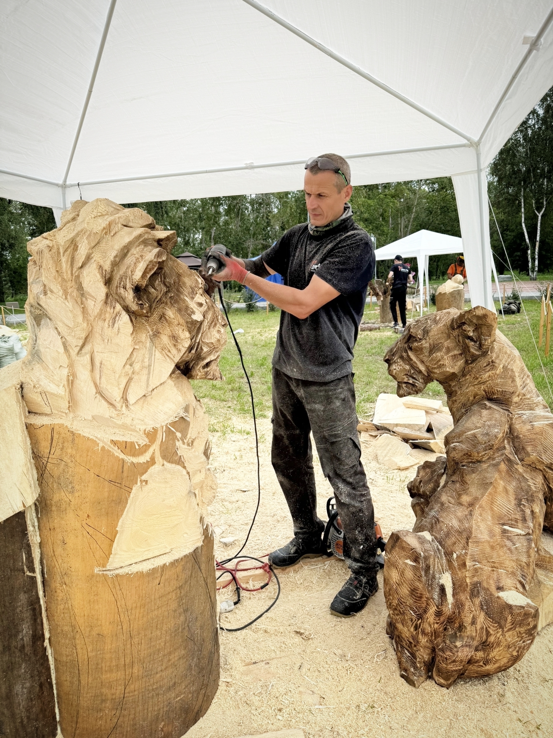 Wooden sculpture. Pride. Chainsaw wood carving - My, Wood carving, Wood sculpture, Woodworking, Art, a lion, Pride, Lion cubs, Lioness, Acrylic, Video, Youtube, Longpost