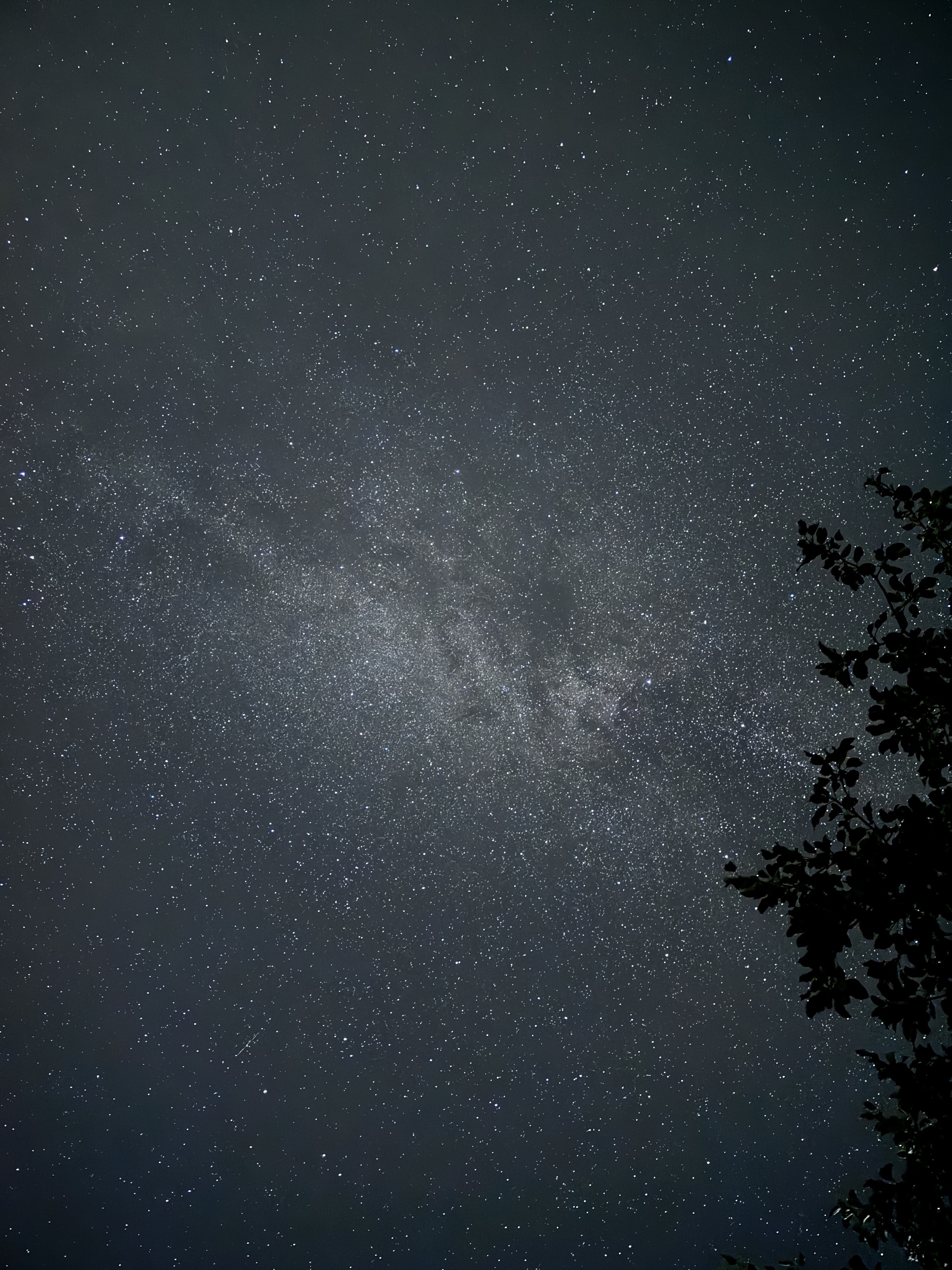 Milky Way - My, Astrophoto, Astronomy, Milky Way, Starry sky, Night shooting, Mobile photography, Longpost