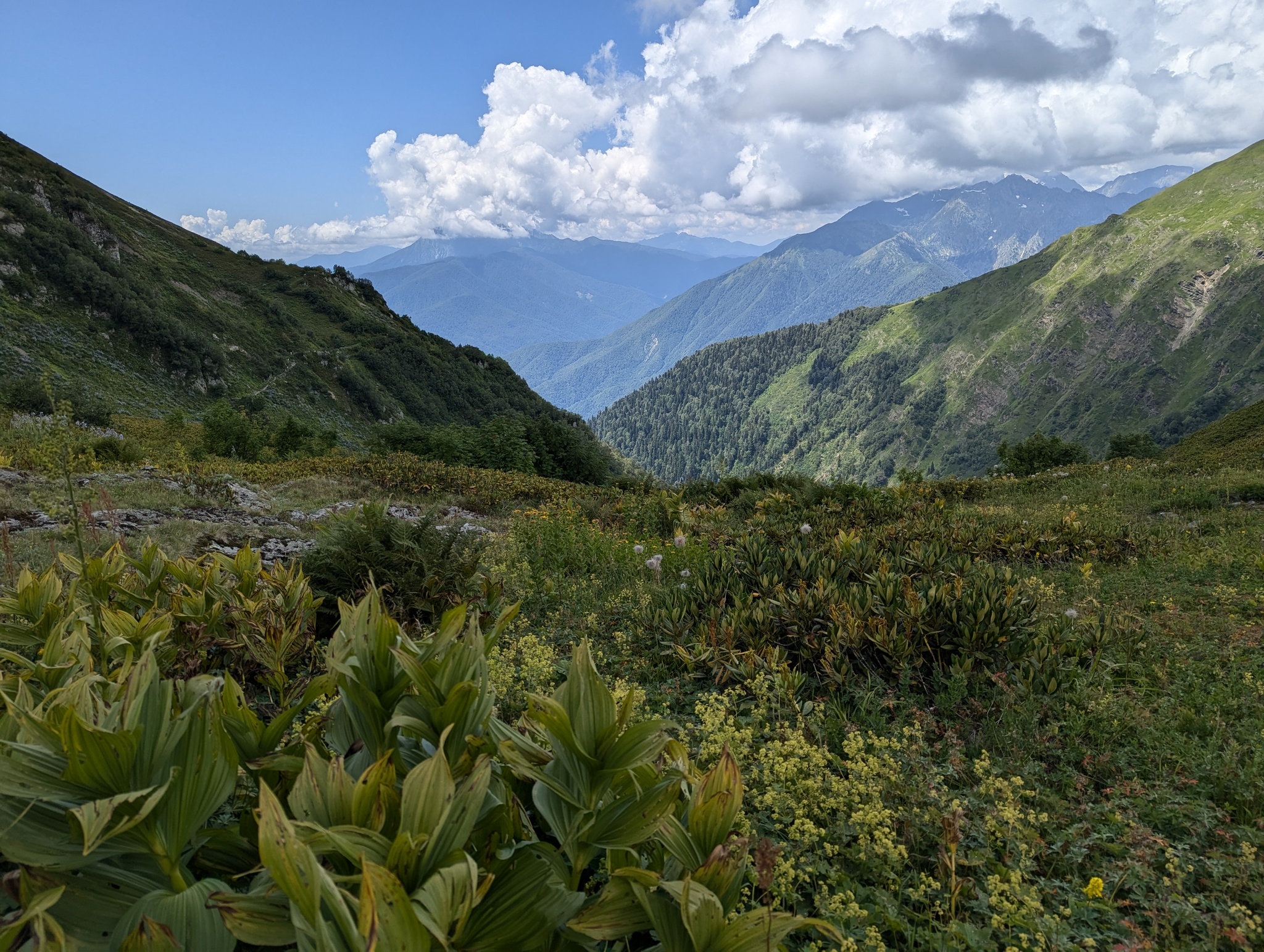 Bzerpinsky Cornice and Lake Maloe - My, Sochi, Hike, Bzerpen cornice, Krasnaya Polyana, Relaxation, Camping, Caucasus, Lake, Longpost