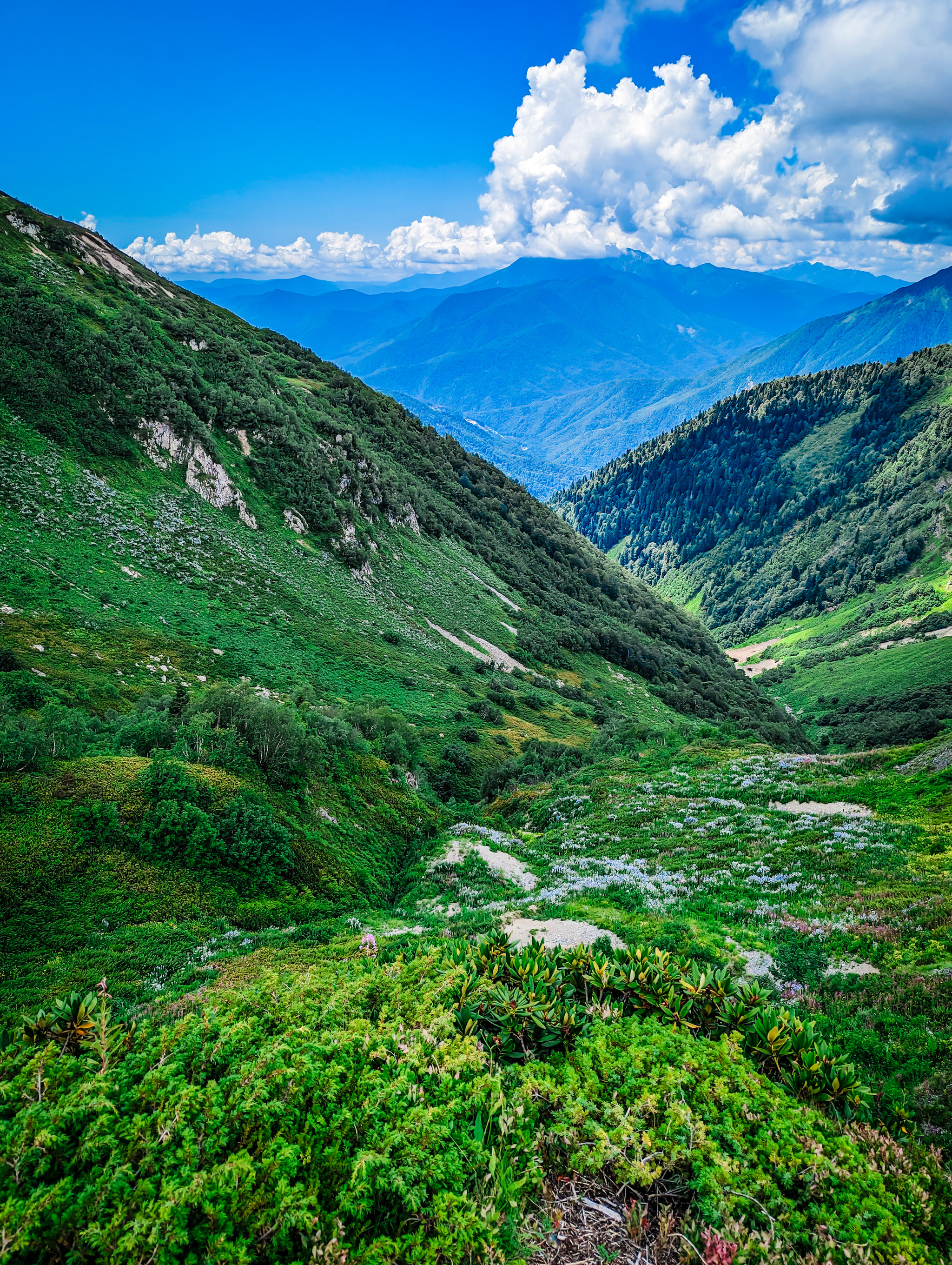 Bzerpinsky Cornice and Lake Maloe - My, Sochi, Hike, Bzerpen cornice, Krasnaya Polyana, Relaxation, Camping, Caucasus, Lake, Longpost