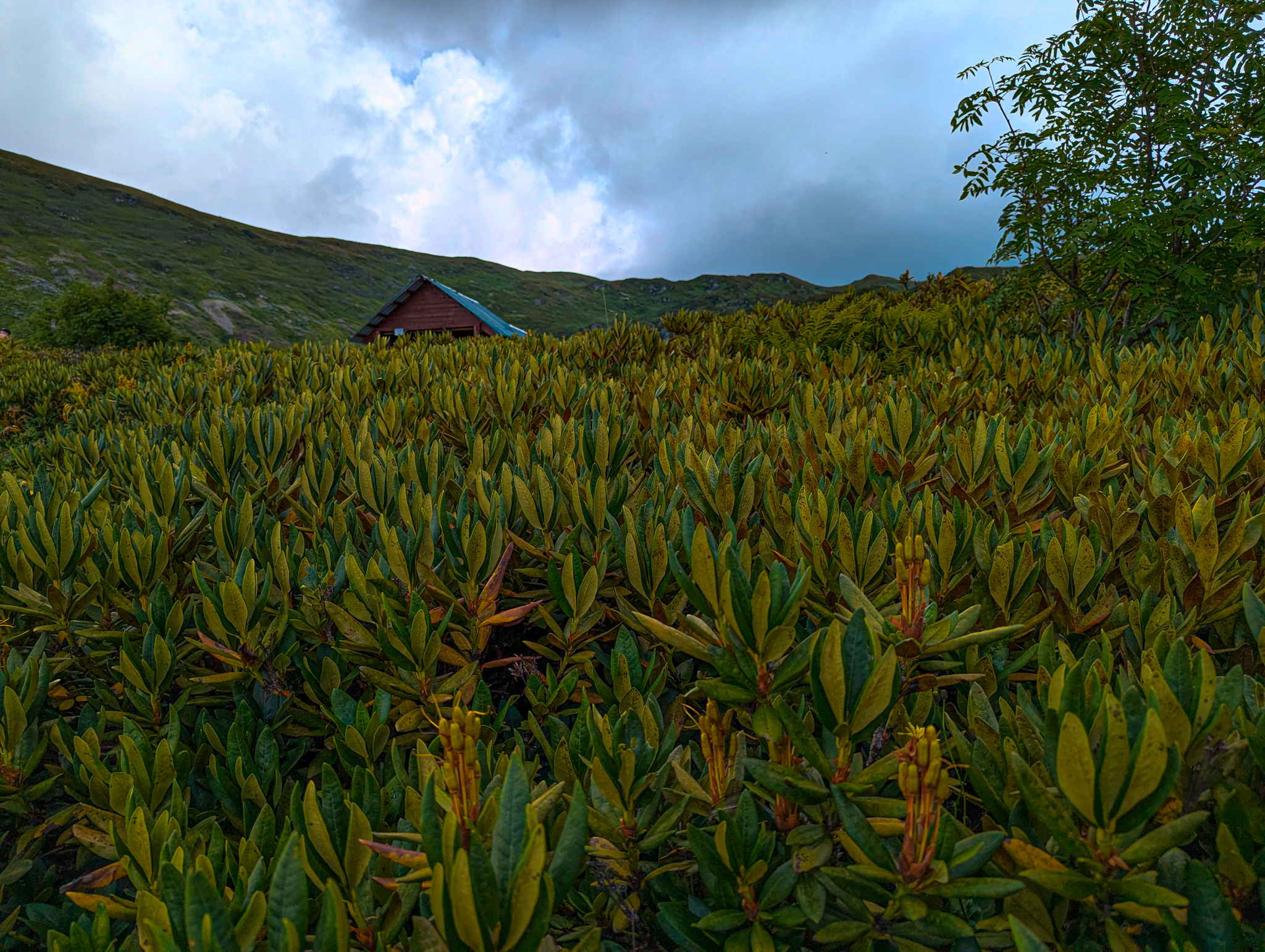 Bzerpinsky Cornice and Lake Maloe - My, Sochi, Hike, Bzerpen cornice, Krasnaya Polyana, Relaxation, Camping, Caucasus, Lake, Longpost