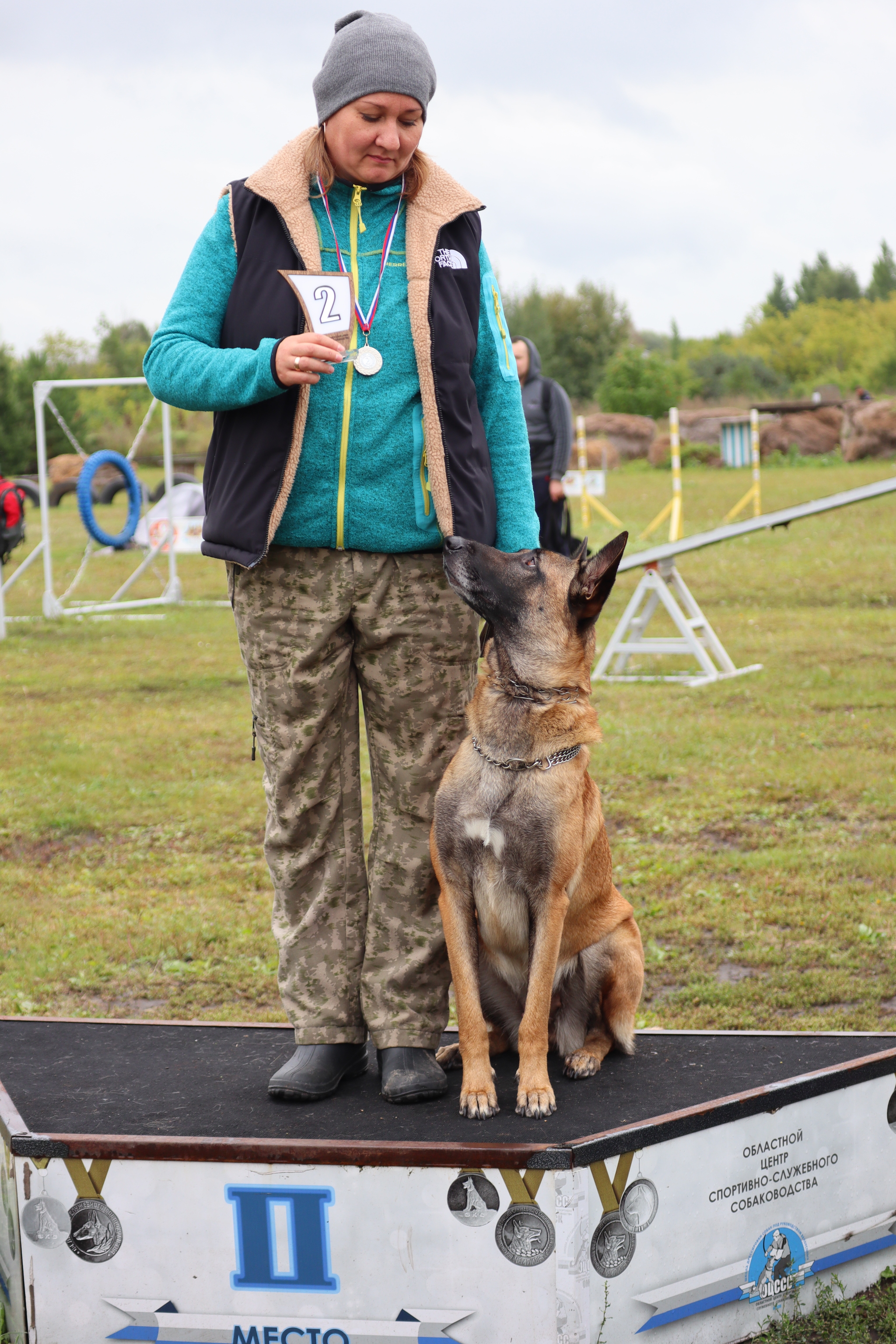 Dog training in Omsk - OCSSSS. OKD award! - Dog, Dog lovers, Puppies, Omsk, Training, Г“Г±Г±Г±, Amstaff, French Bulldog, German Shepherd, Malinois, Miniature schnauzer, Longpost