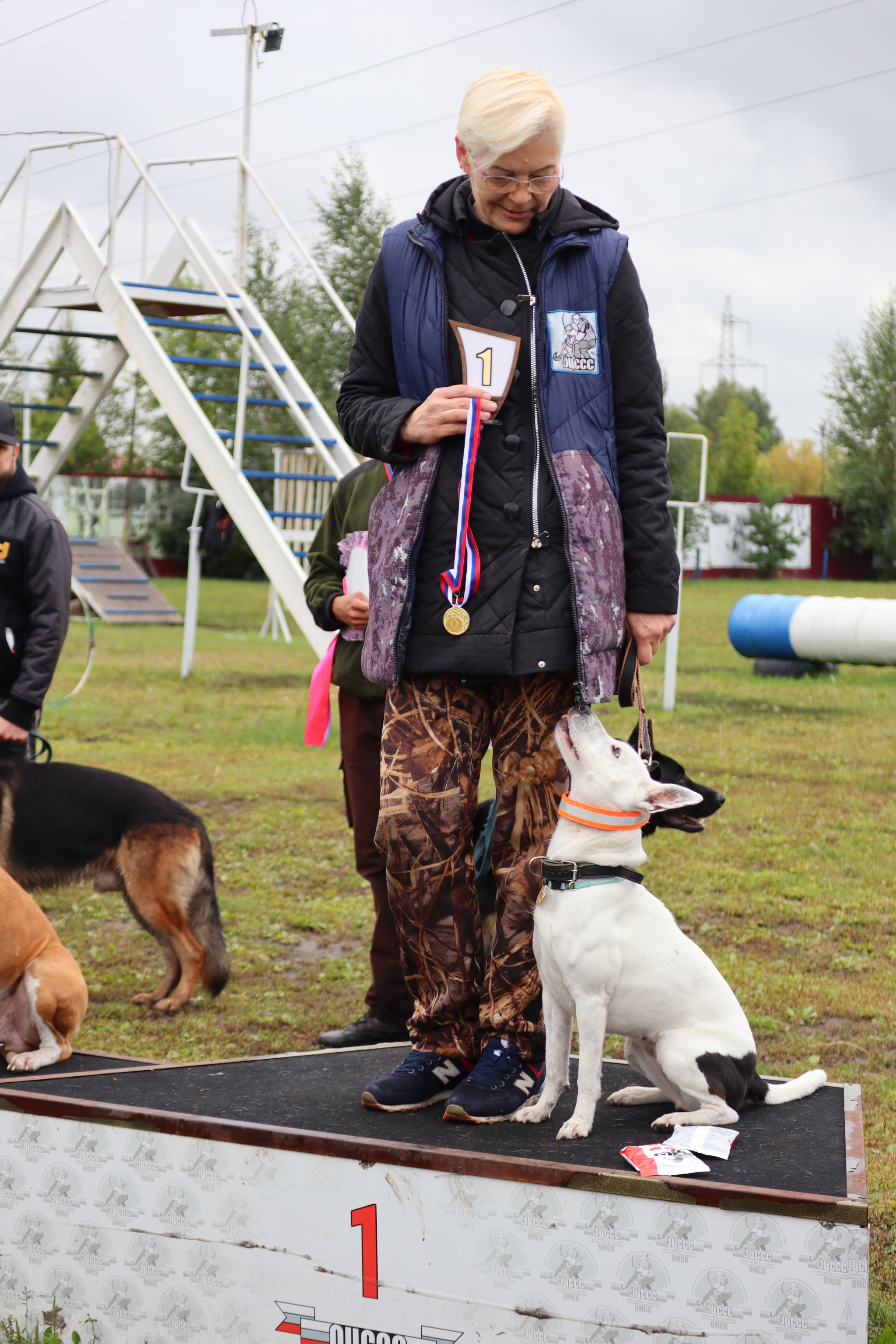 Dog training in Omsk - OCSSSS. OKD award! - Dog, Dog lovers, Puppies, Omsk, Training, Г“Г±Г±Г±, Amstaff, French Bulldog, German Shepherd, Malinois, Miniature schnauzer, Longpost