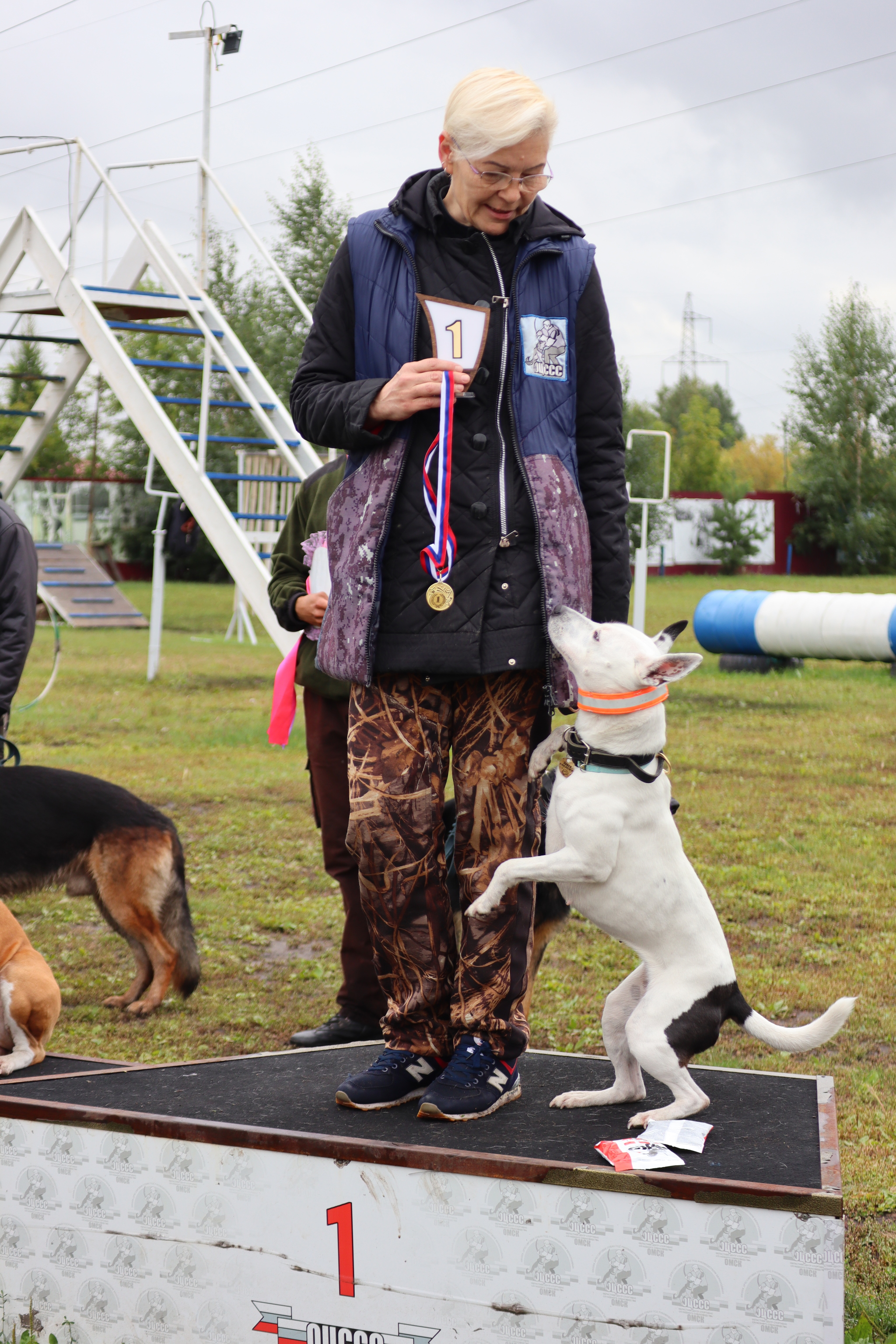 Dog training in Omsk - OCSSSS. OKD award! - Dog, Dog lovers, Puppies, Omsk, Training, Г“Г±Г±Г±, Amstaff, French Bulldog, German Shepherd, Malinois, Miniature schnauzer, Longpost