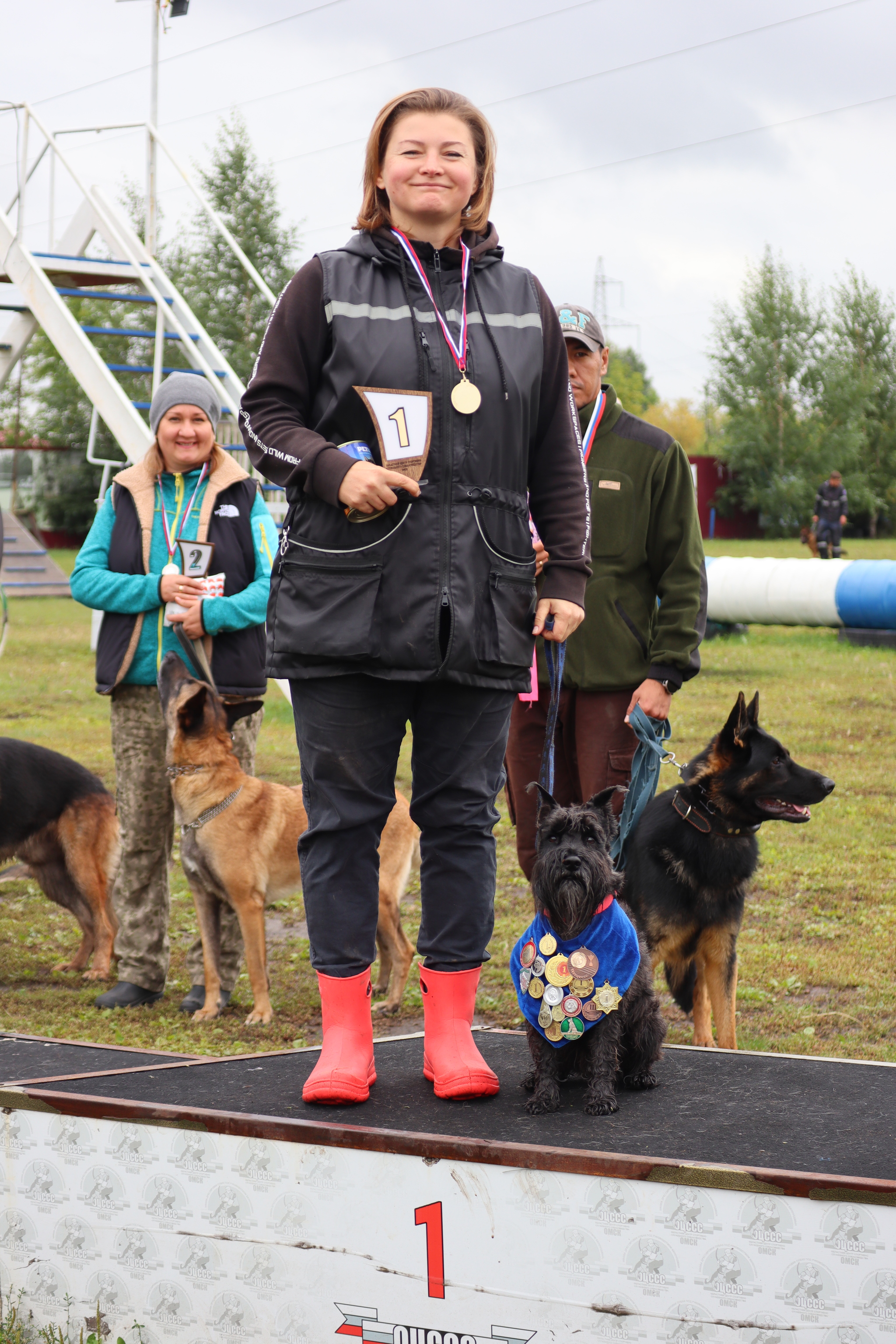 Dog training in Omsk - OCSSSS. OKD award! - Dog, Dog lovers, Puppies, Omsk, Training, Г“Г±Г±Г±, Amstaff, French Bulldog, German Shepherd, Malinois, Miniature schnauzer, Longpost