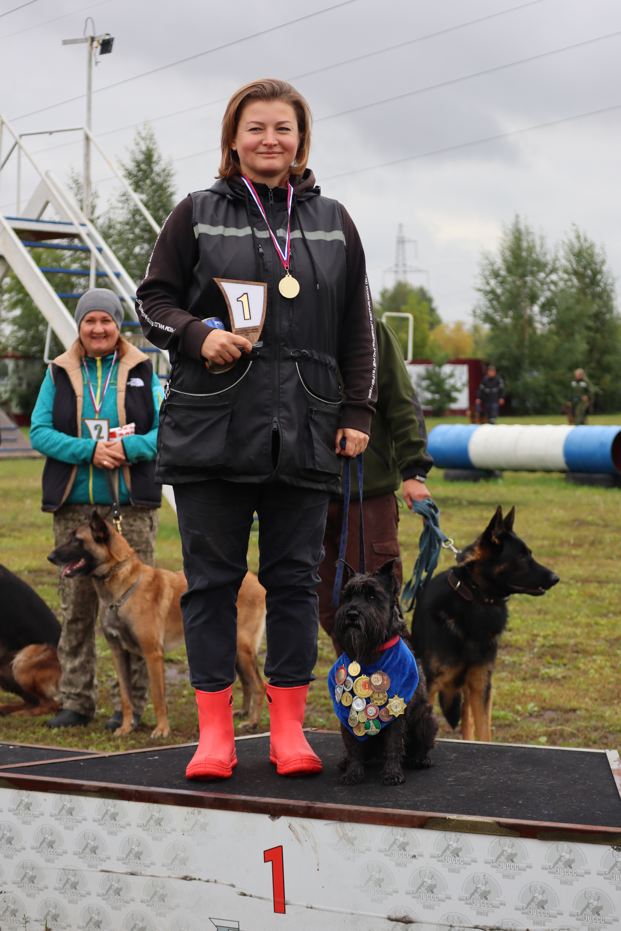 Dog training in Omsk - OCSSSS. OKD award! - Dog, Dog lovers, Puppies, Omsk, Training, Г“Г±Г±Г±, Amstaff, French Bulldog, German Shepherd, Malinois, Miniature schnauzer, Longpost