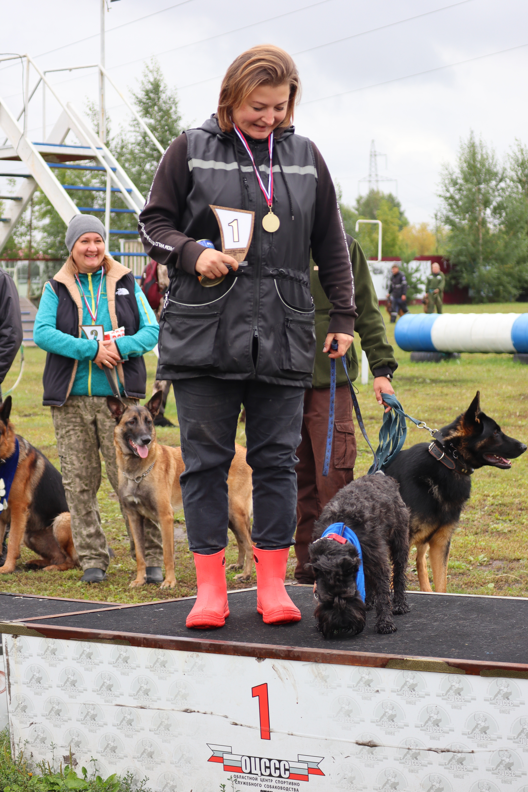 Dog training in Omsk - OCSSSS. OKD award! - Dog, Dog lovers, Puppies, Omsk, Training, Г“Г±Г±Г±, Amstaff, French Bulldog, German Shepherd, Malinois, Miniature schnauzer, Longpost