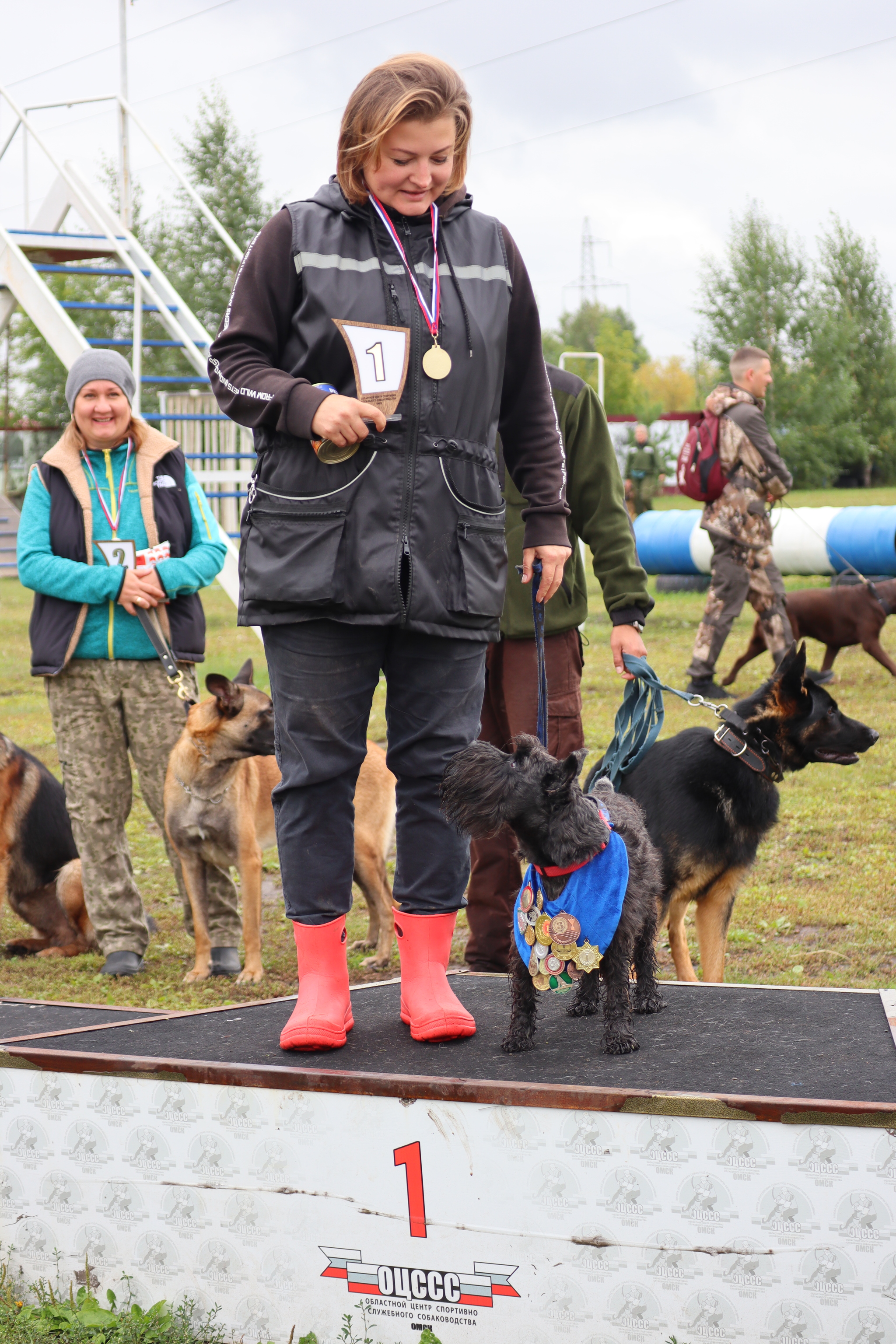 Dog training in Omsk - OCSSSS. OKD award! - Dog, Dog lovers, Puppies, Omsk, Training, Г“Г±Г±Г±, Amstaff, French Bulldog, German Shepherd, Malinois, Miniature schnauzer, Longpost