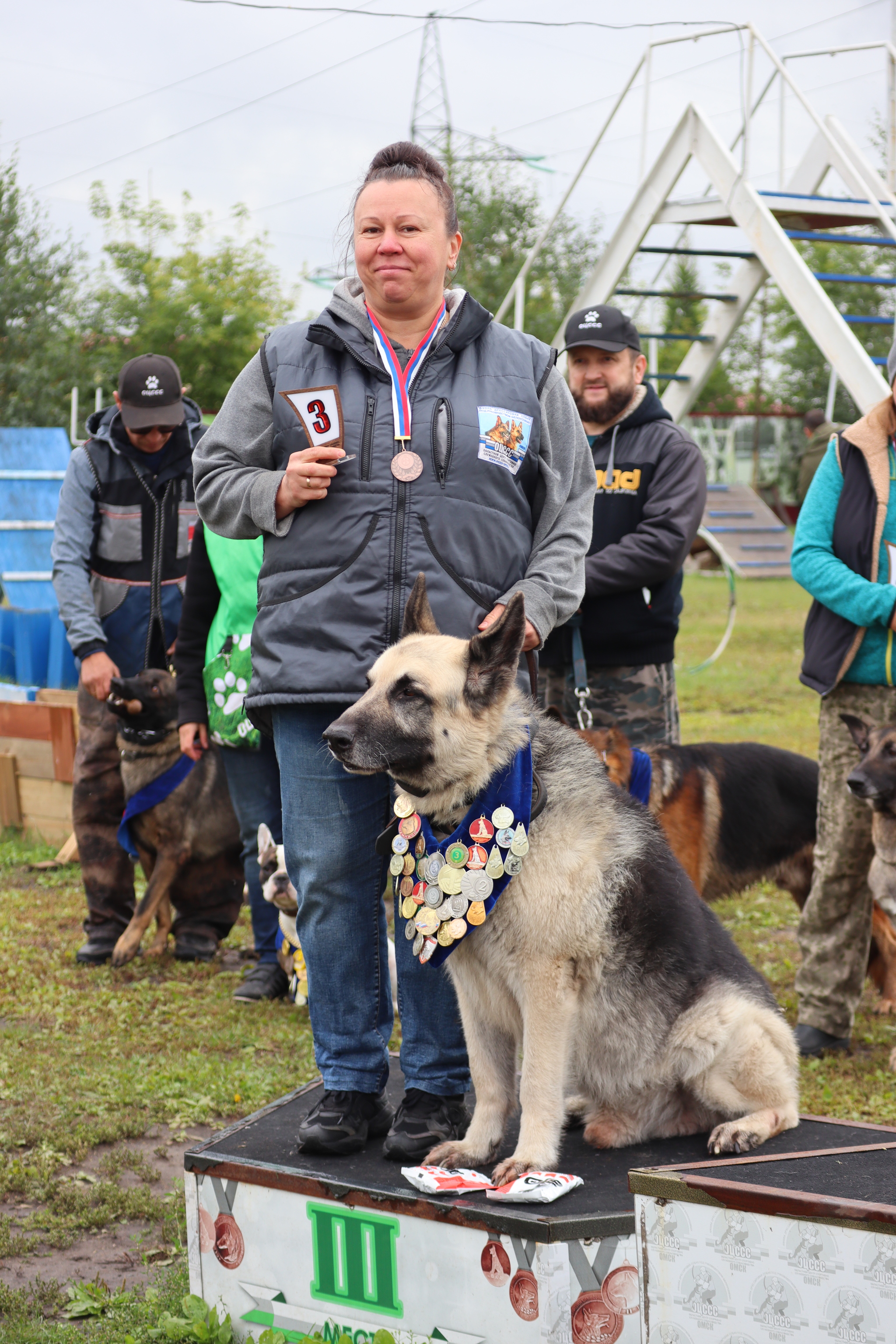 Dog training in Omsk - OCSSSS. OKD award! - Dog, Dog lovers, Puppies, Omsk, Training, Г“Г±Г±Г±, Amstaff, French Bulldog, German Shepherd, Malinois, Miniature schnauzer, Longpost