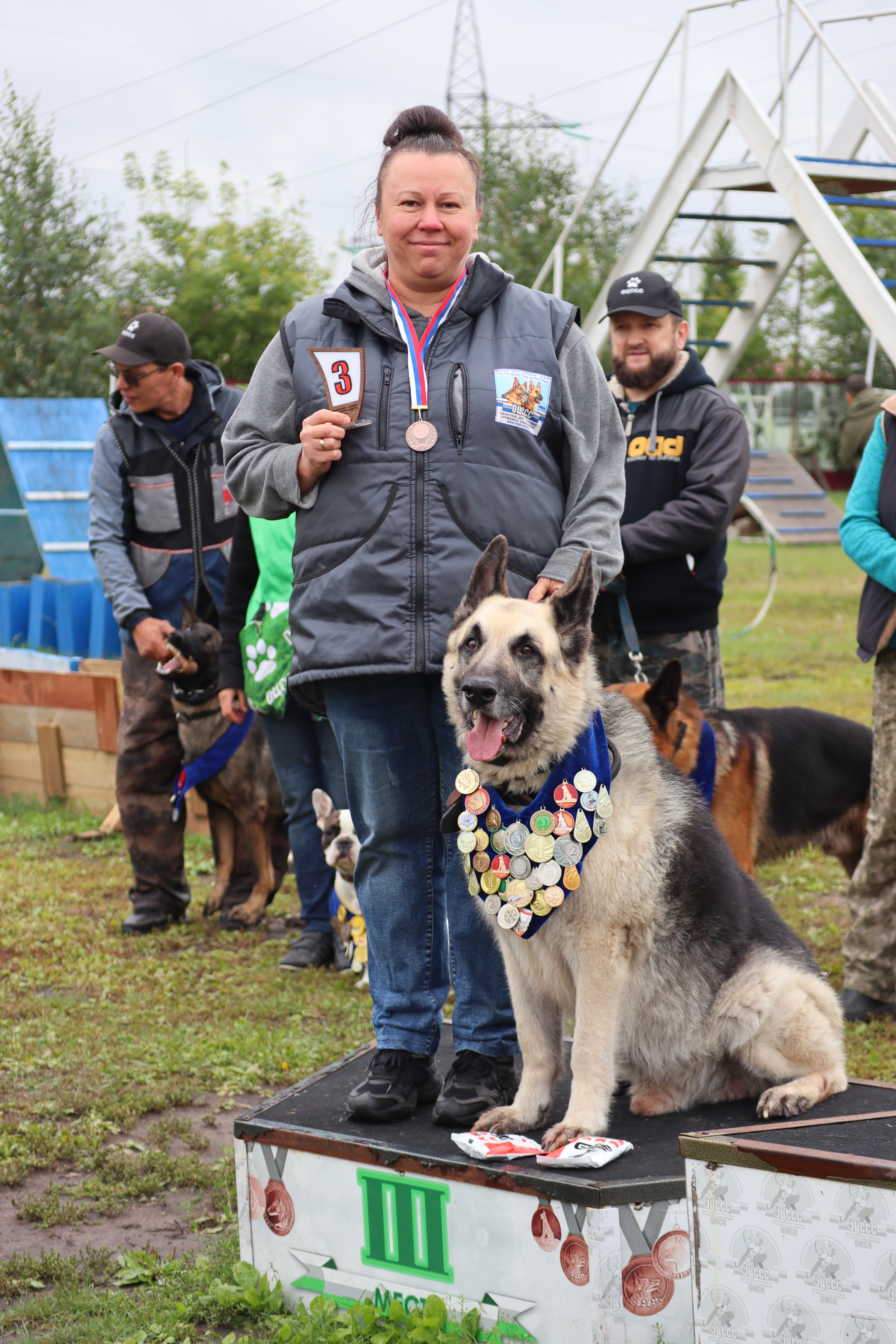 Dog training in Omsk - OCSSSS. OKD award! - Dog, Dog lovers, Puppies, Omsk, Training, Г“Г±Г±Г±, Amstaff, French Bulldog, German Shepherd, Malinois, Miniature schnauzer, Longpost