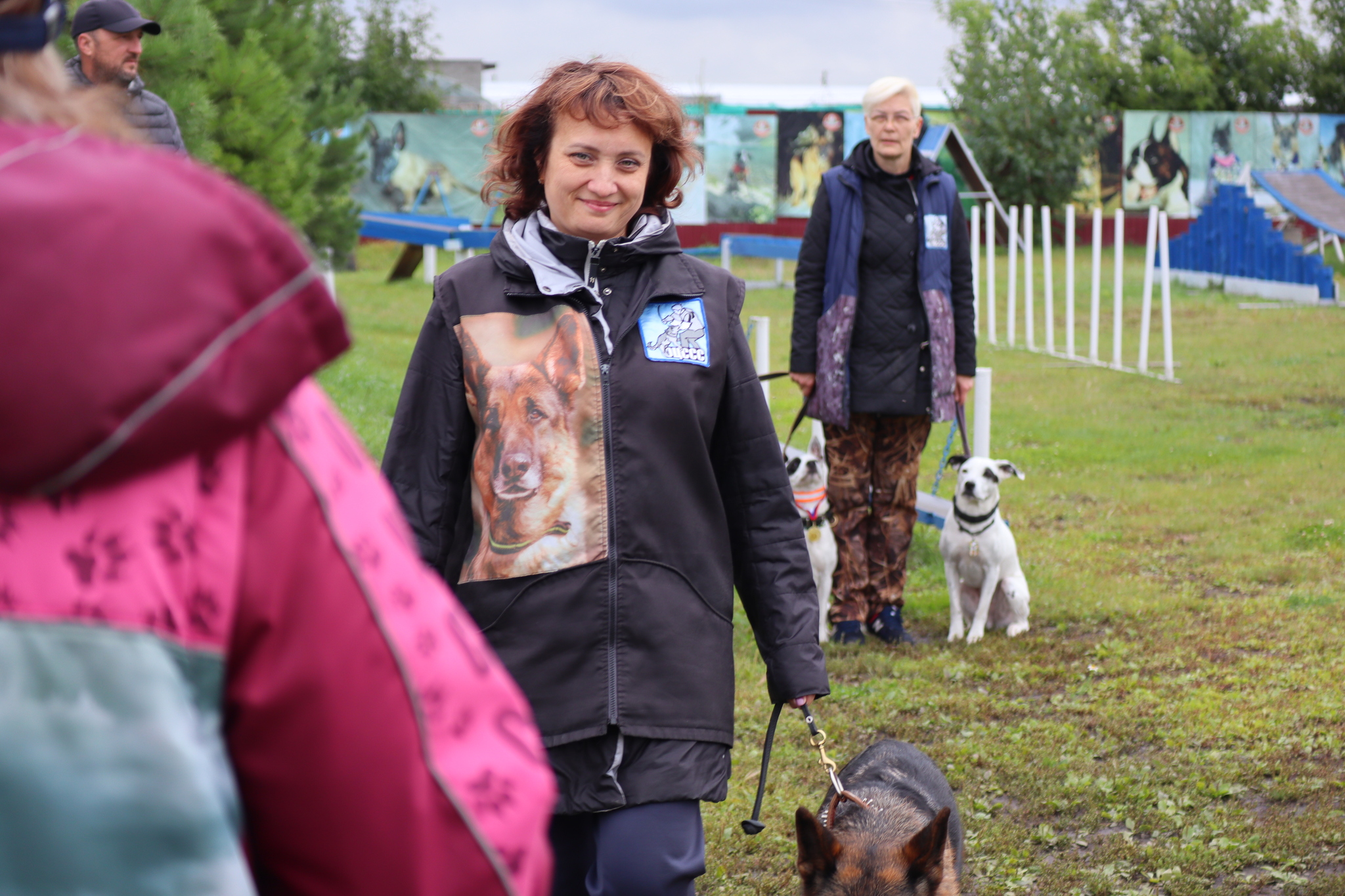 Dog training in Omsk - OCSSSS. OKD award! - Dog, Dog lovers, Puppies, Omsk, Training, Г“Г±Г±Г±, Amstaff, French Bulldog, German Shepherd, Malinois, Miniature schnauzer, Longpost