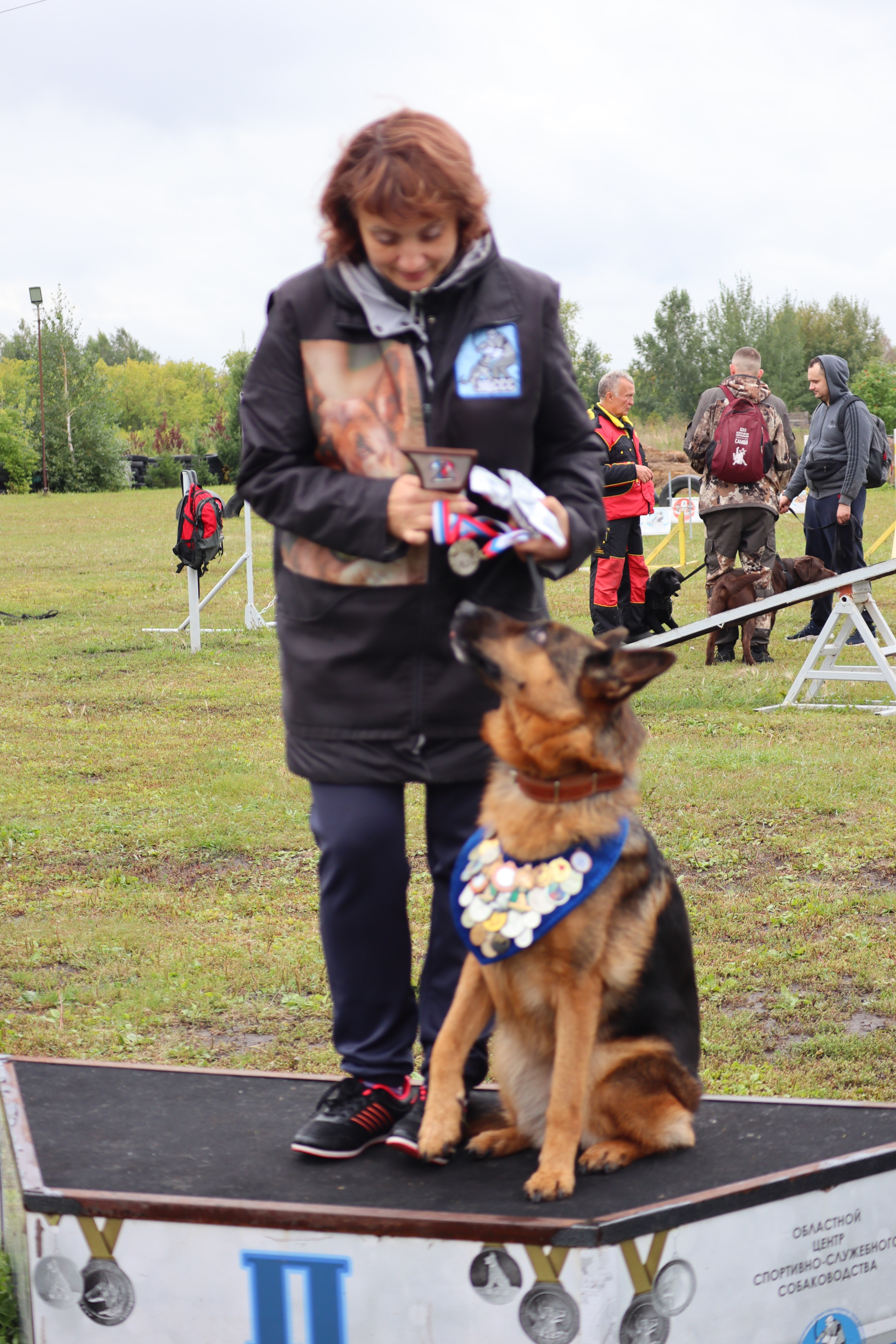 Dog training in Omsk - OCSSSS. OKD award! - Dog, Dog lovers, Puppies, Omsk, Training, Г“Г±Г±Г±, Amstaff, French Bulldog, German Shepherd, Malinois, Miniature schnauzer, Longpost