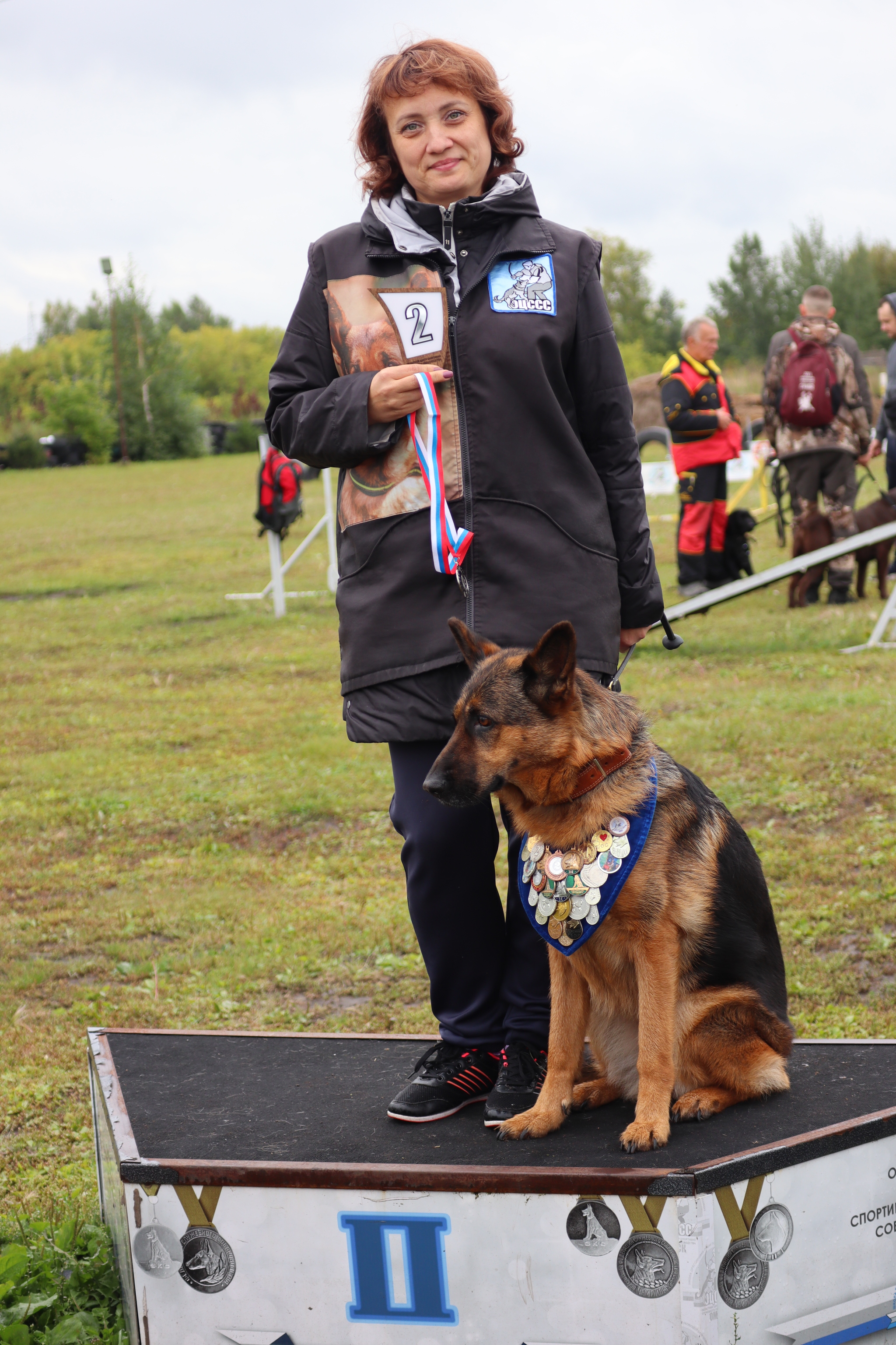 Dog training in Omsk - OCSSSS. OKD award! - Dog, Dog lovers, Puppies, Omsk, Training, Г“Г±Г±Г±, Amstaff, French Bulldog, German Shepherd, Malinois, Miniature schnauzer, Longpost