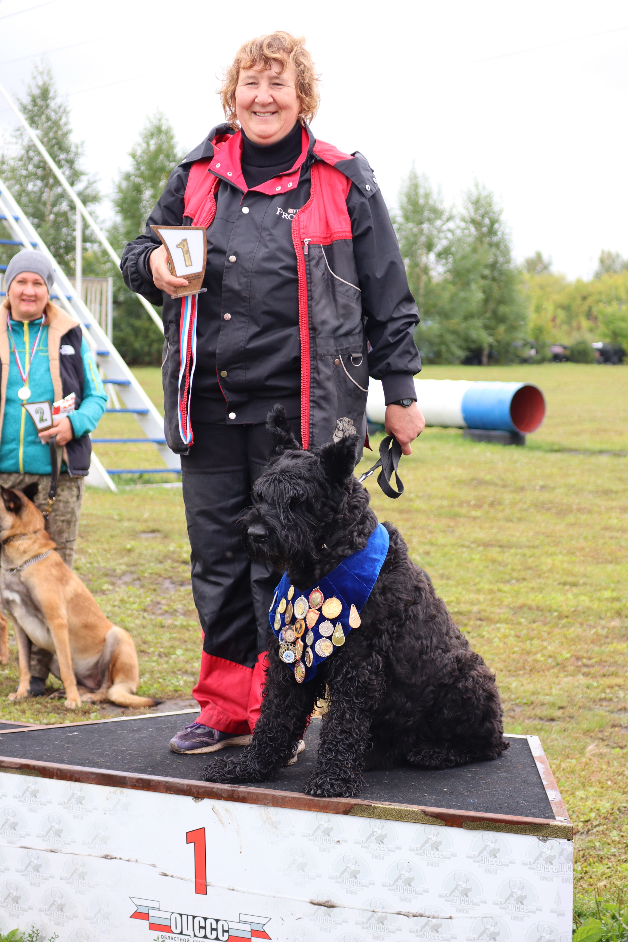 Dog training in Omsk - OCSSSS. OKD award! - Dog, Dog lovers, Puppies, Omsk, Training, Г“Г±Г±Г±, Amstaff, French Bulldog, German Shepherd, Malinois, Miniature schnauzer, Longpost