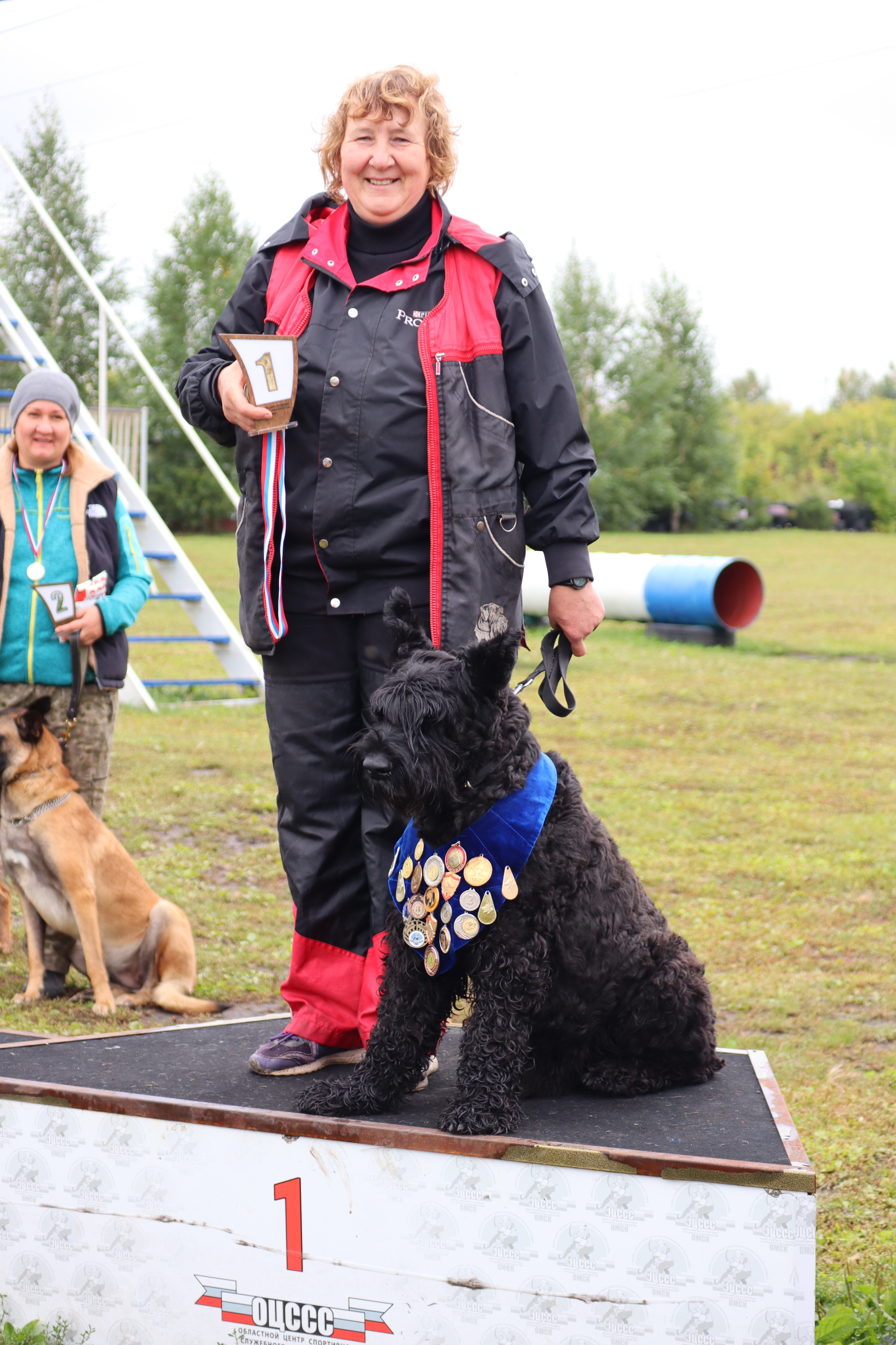 Dog training in Omsk - OCSSSS. OKD award! - Dog, Dog lovers, Puppies, Omsk, Training, Г“Г±Г±Г±, Amstaff, French Bulldog, German Shepherd, Malinois, Miniature schnauzer, Longpost