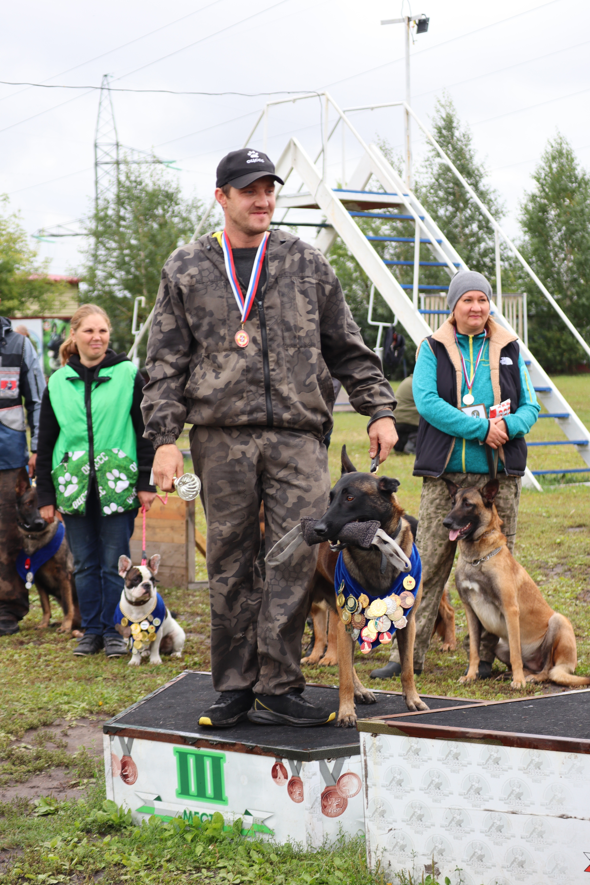 Dog training in Omsk - OCSSSS. OKD award! - Dog, Dog lovers, Puppies, Omsk, Training, Г“Г±Г±Г±, Amstaff, French Bulldog, German Shepherd, Malinois, Miniature schnauzer, Longpost