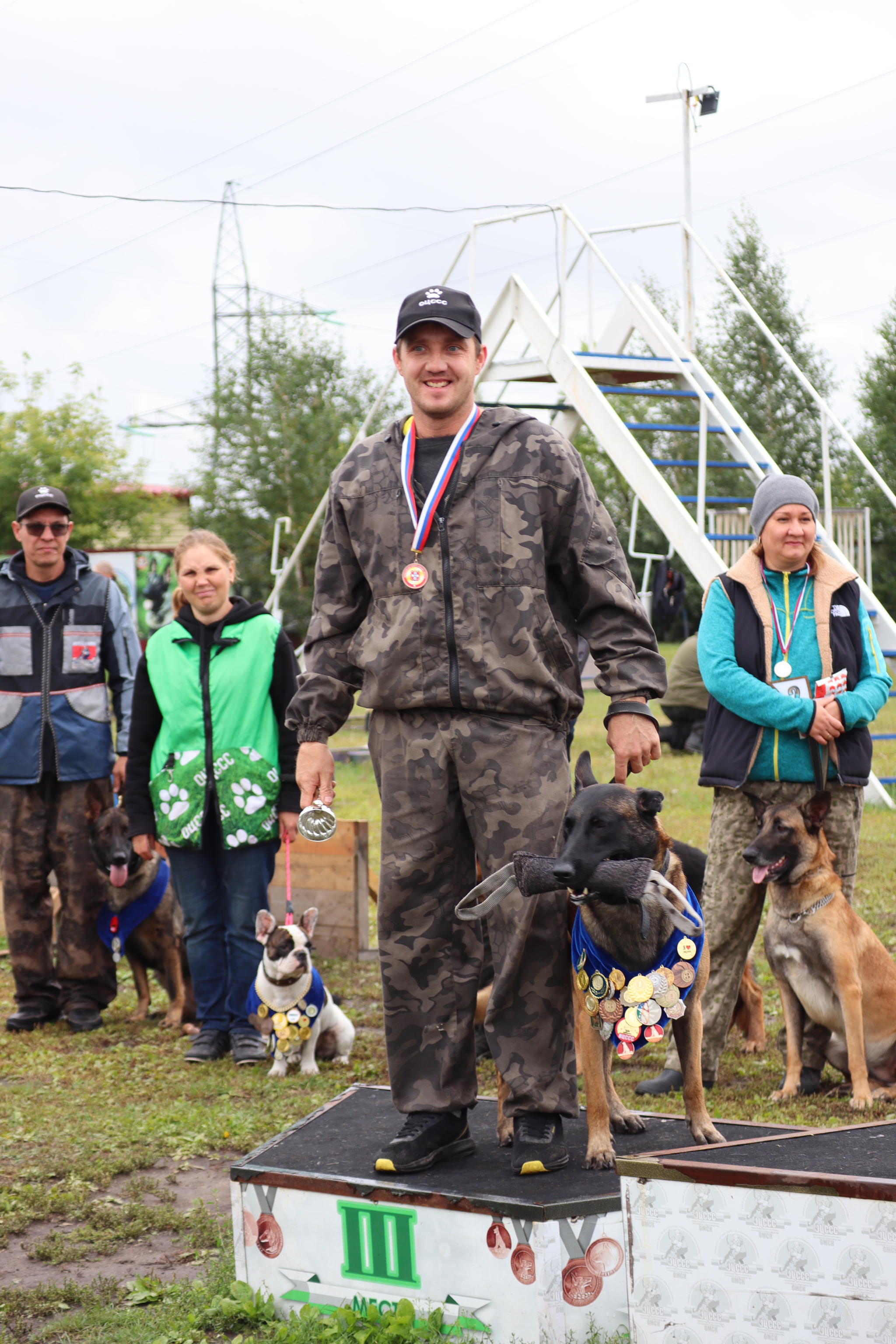 Dog training in Omsk - OCSSSS. OKD award! - Dog, Dog lovers, Puppies, Omsk, Training, Г“Г±Г±Г±, Amstaff, French Bulldog, German Shepherd, Malinois, Miniature schnauzer, Longpost