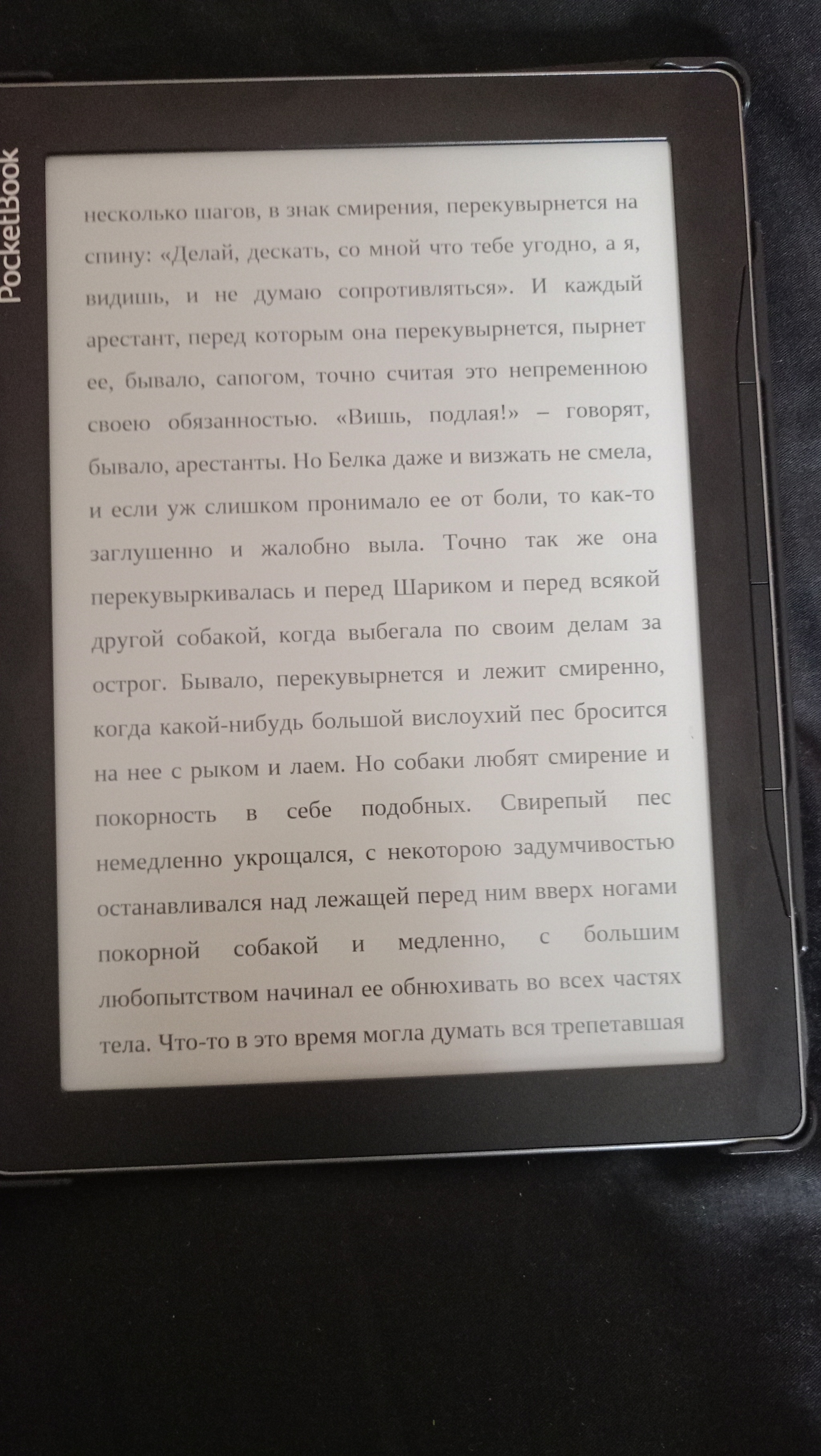 Записки из мёртвого дома - Моё, Федор Достоевский, Мысли, Мнение, Философия, Человек, Человечество, Человечность, Мораль, Животные, Длиннопост