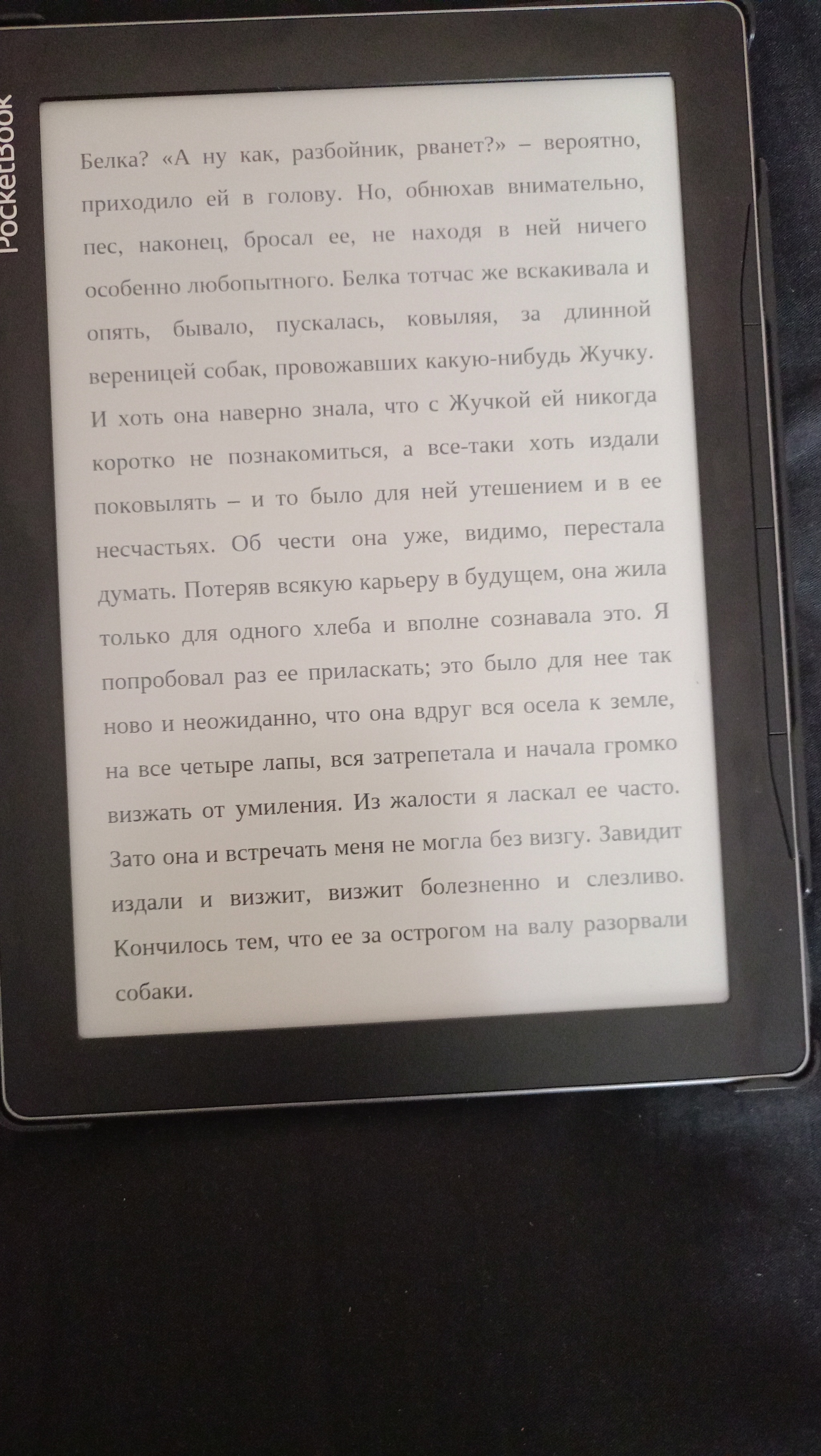 Записки из мёртвого дома - Моё, Федор Достоевский, Мысли, Мнение, Философия, Человек, Человечество, Человечность, Мораль, Животные, Длиннопост