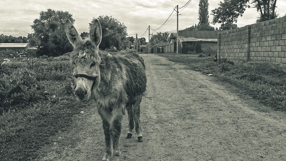 Дорожные заметки - часть 5 - Уличная фотография, Фотография, Чёрно-Белая, Длиннопост