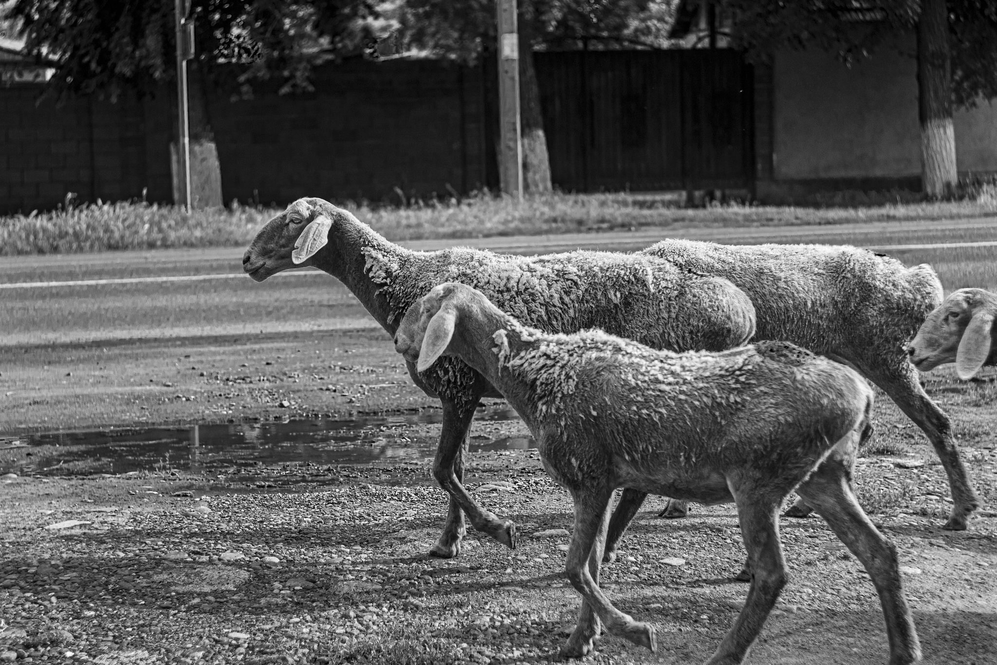 Дорожные заметки - часть 5 - Уличная фотография, Фотография, Чёрно-Белая, Длиннопост