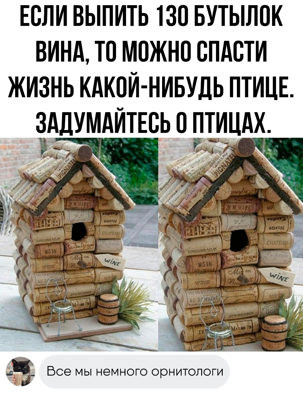 There is no such perfect photo... - ADME, Humor, Picture with text, Birdhouse, Wine corks