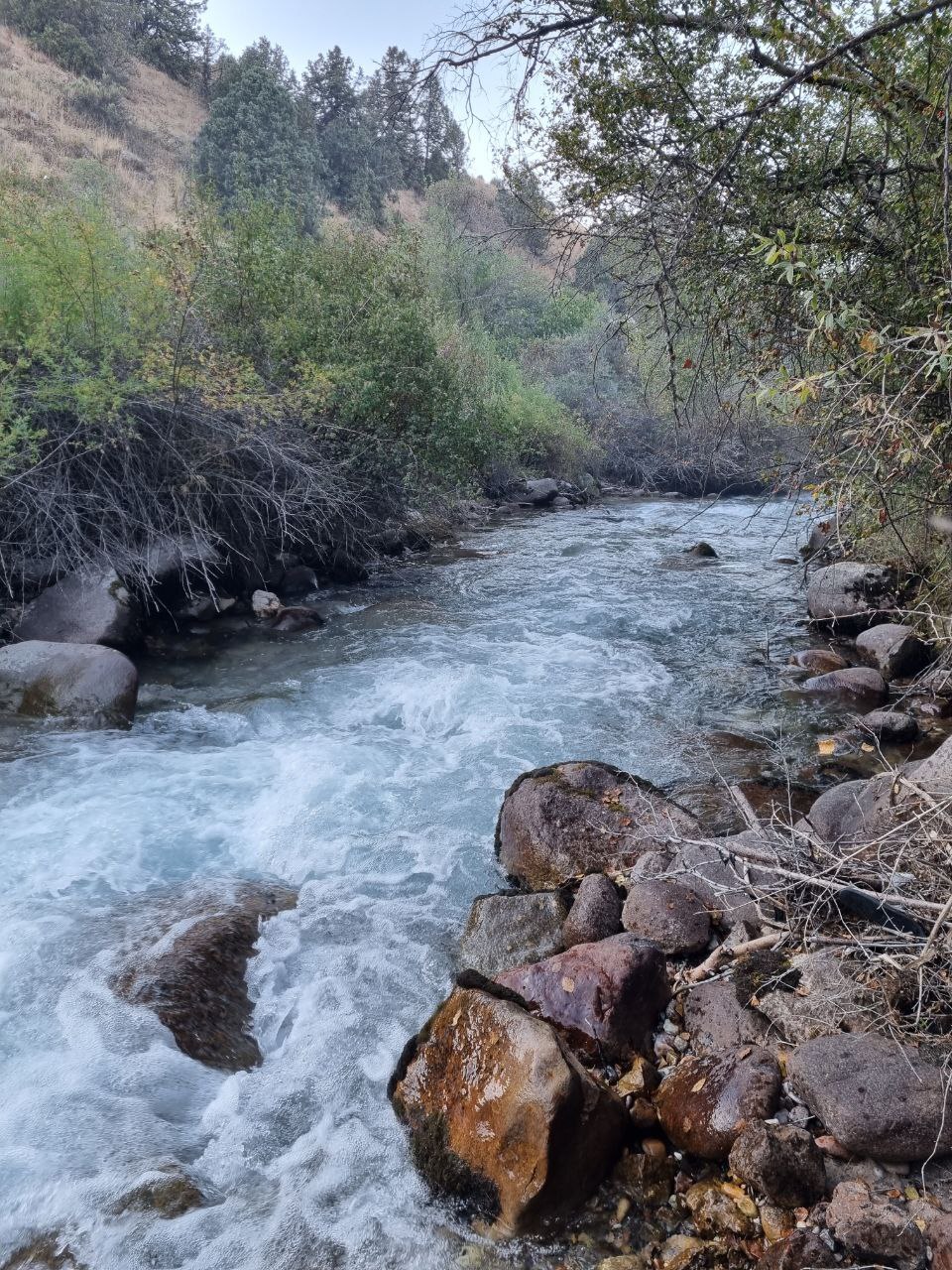 The environs of Shymkent today - Shymkent, The photo, Nature, Kazakhstan, Telegram (link), Longpost