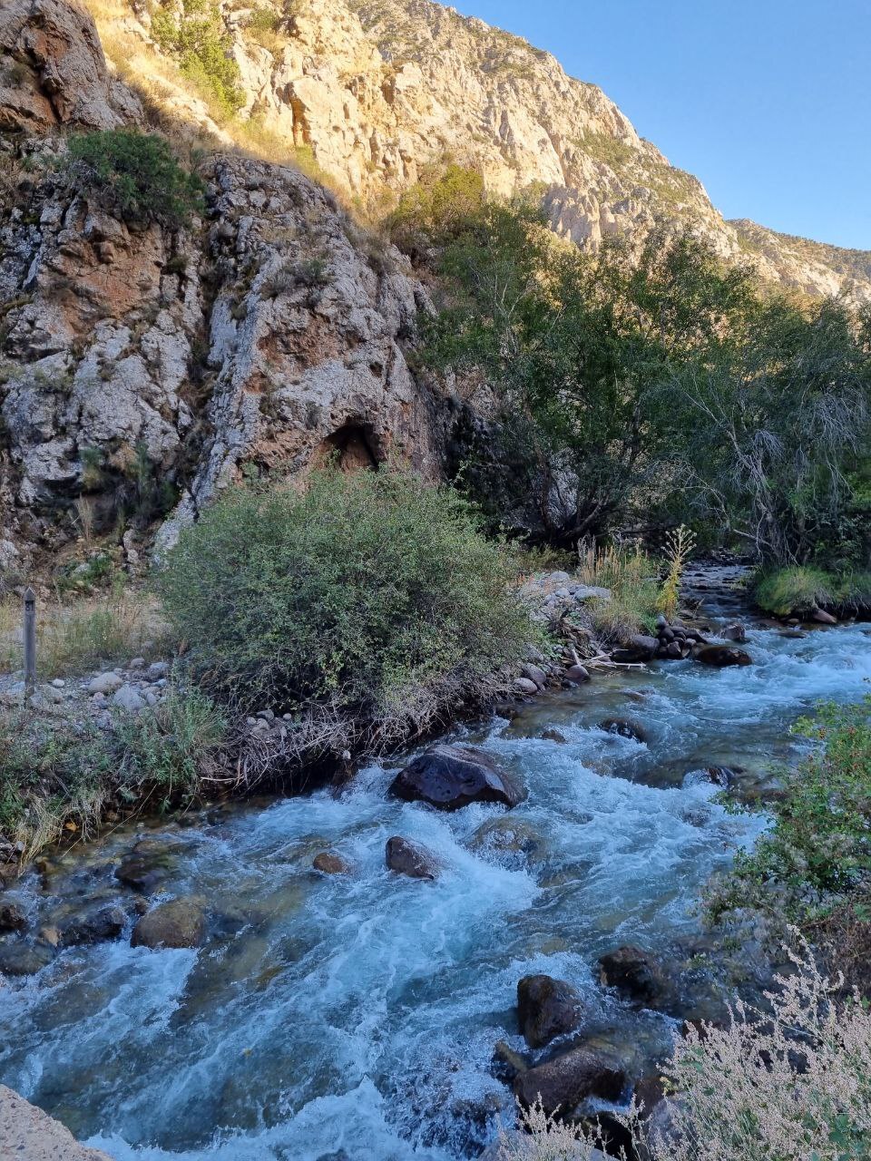 The environs of Shymkent today - Shymkent, The photo, Nature, Kazakhstan, Telegram (link), Longpost