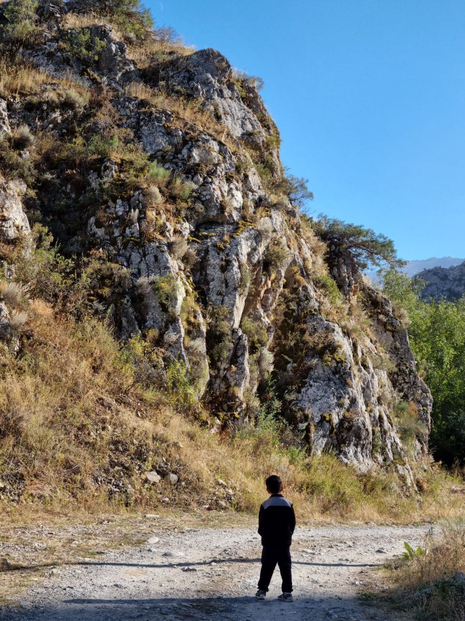 The environs of Shymkent today - Shymkent, The photo, Nature, Kazakhstan, Telegram (link), Longpost