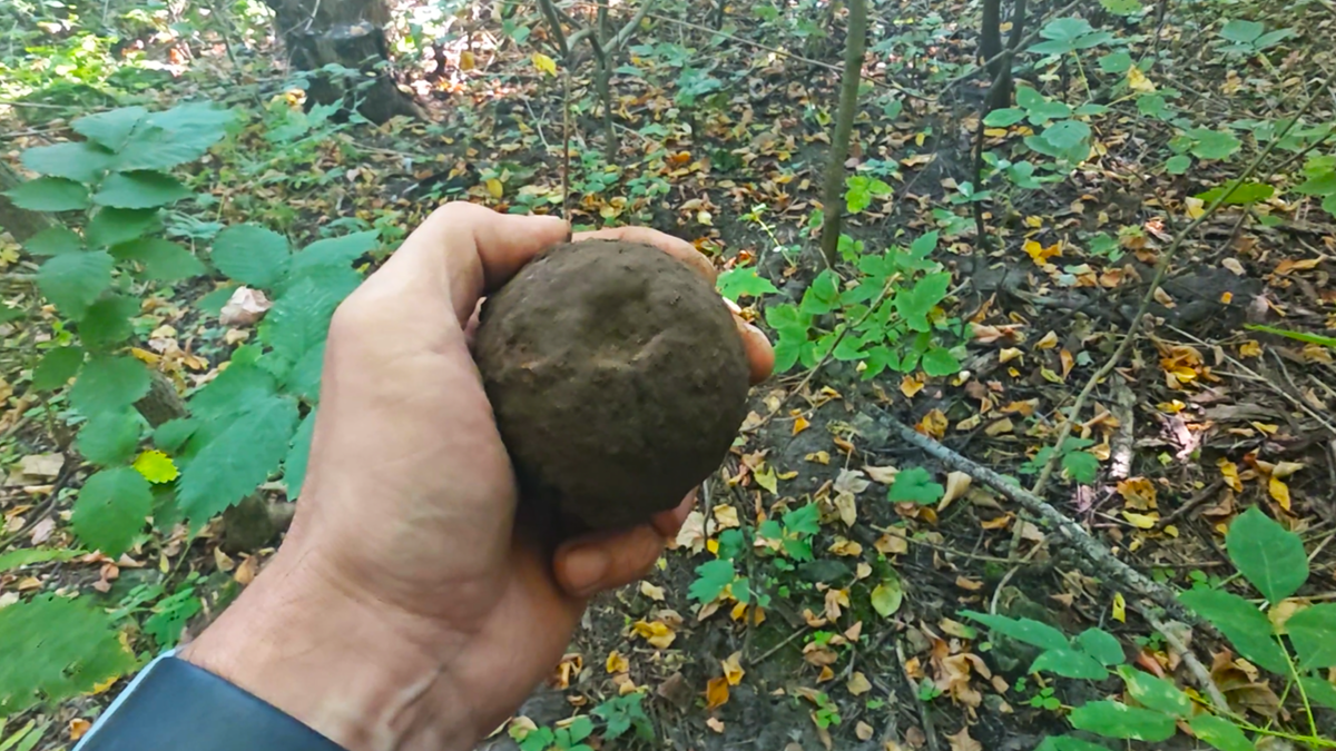 Cannonball or what interesting things can be found in an abandoned village - My, Find, Search, Abandoned, Longpost