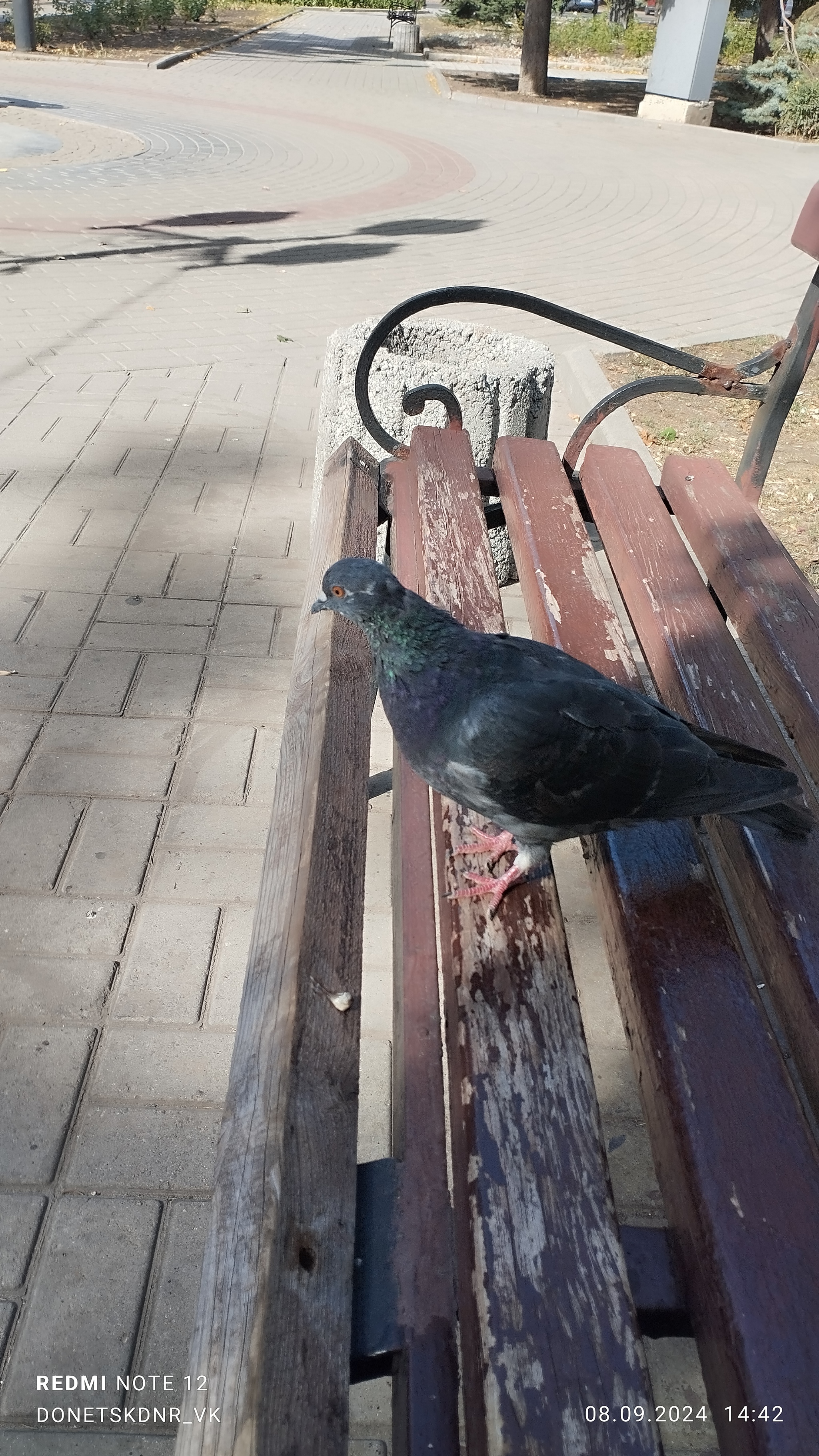 Walking tour of Makeyevka (DPR) - My, DPR, Makeevka, City walk, September, Longpost