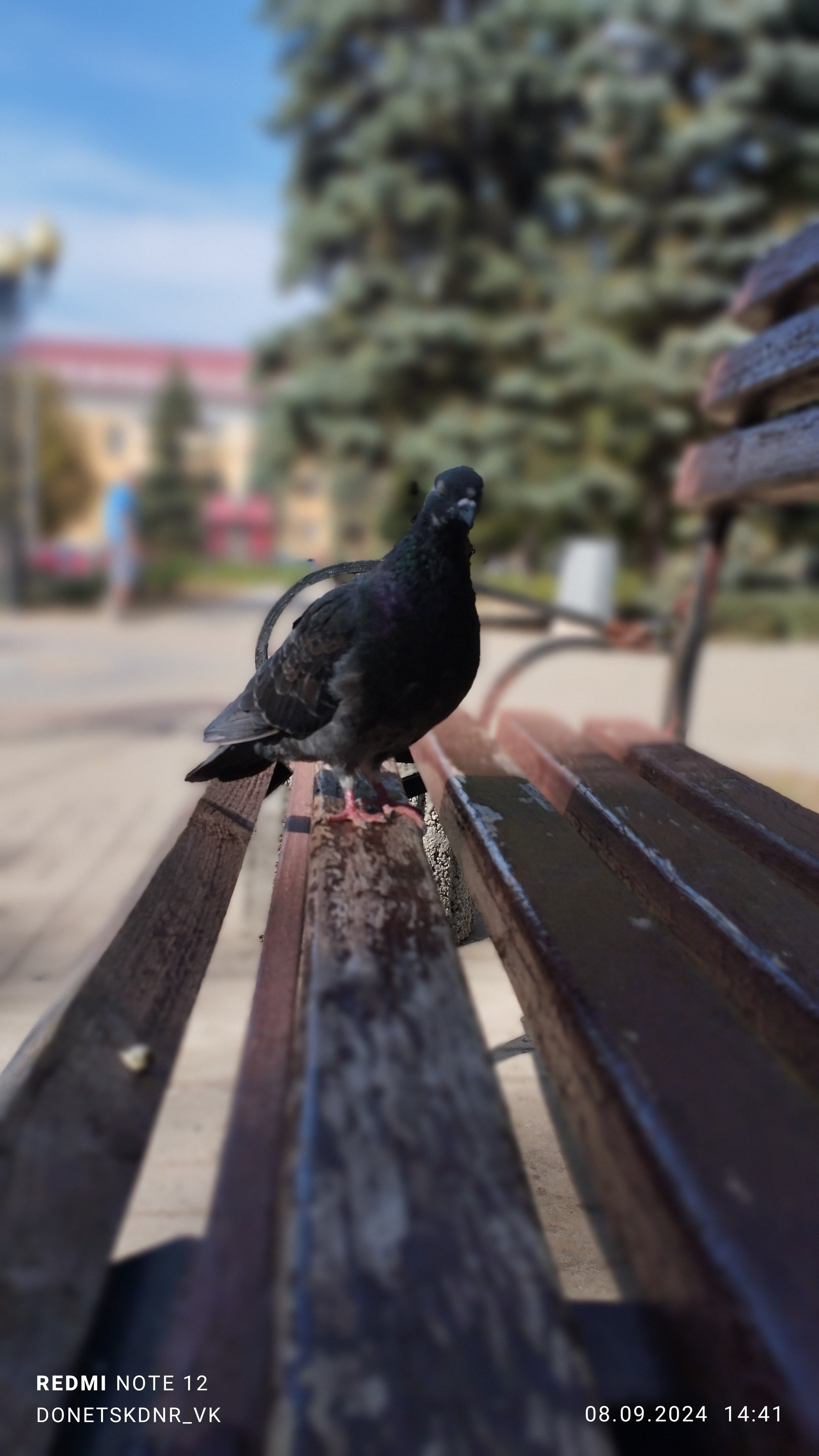 Прогулка по Макеевке (ДНР) - Моё, ДНР, Макеевка, Прогулка по городу, Сентябрь, Длиннопост