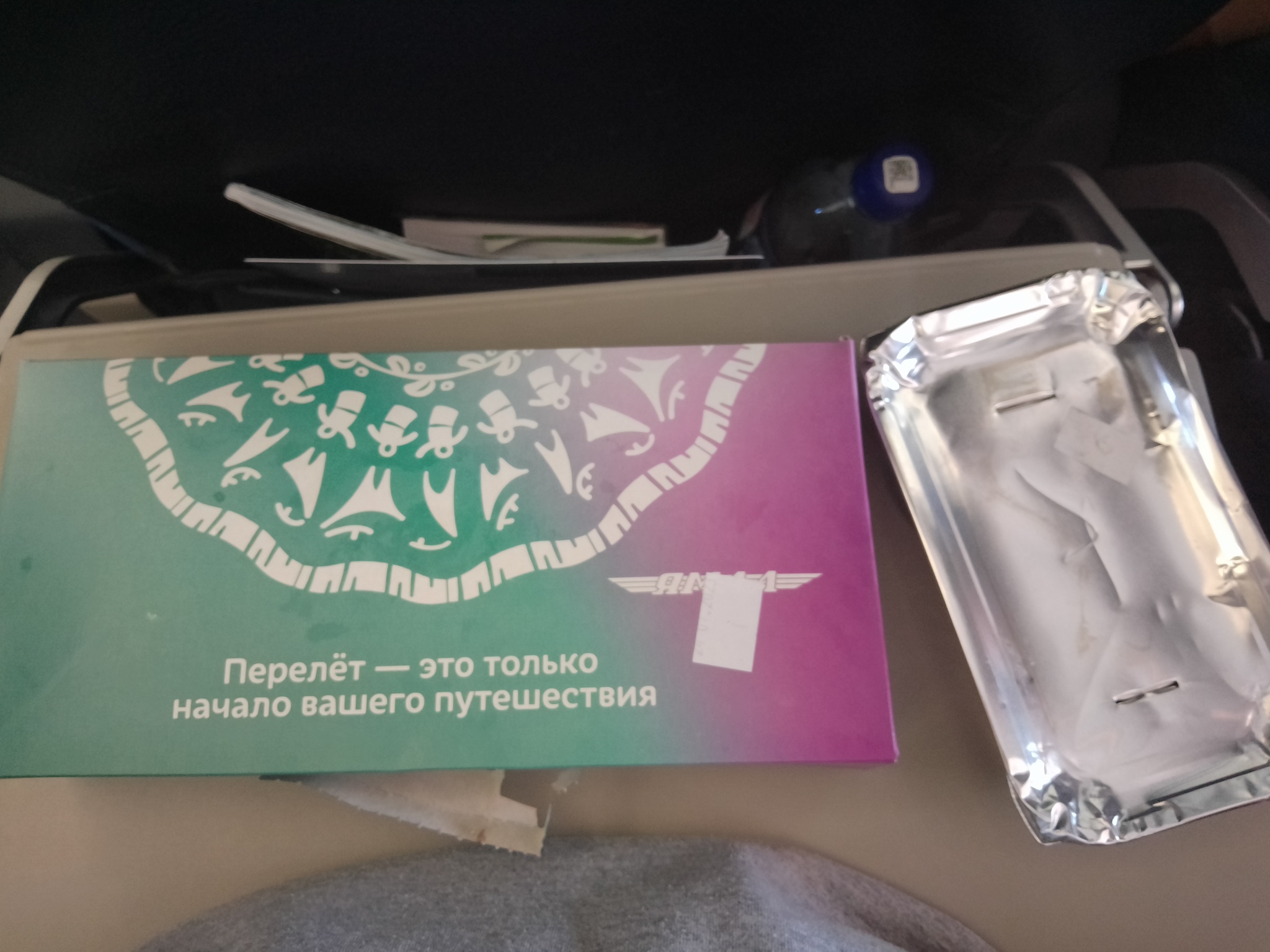 Standard lunch on board Yamal Airlines - My, Airline, Yamal, Nutrition, Flight, Airplane, Travels, Longpost, On-board power supply