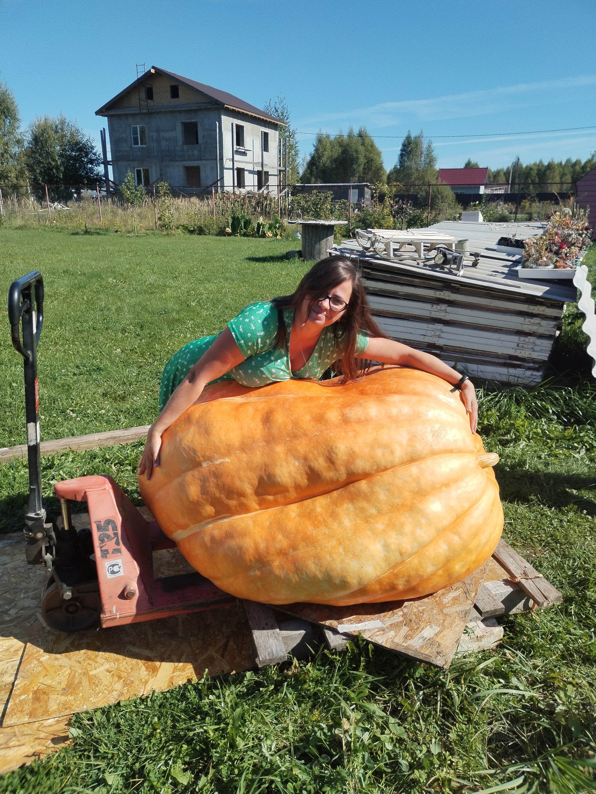 A giant pumpkin weighing 350 kg was sent to Kazakhstan. Video of loading - My, Garden, Pumpkin, Giant pumpkin, Giants, Gigantomania, Vegetables, Video, Video VK, Longpost