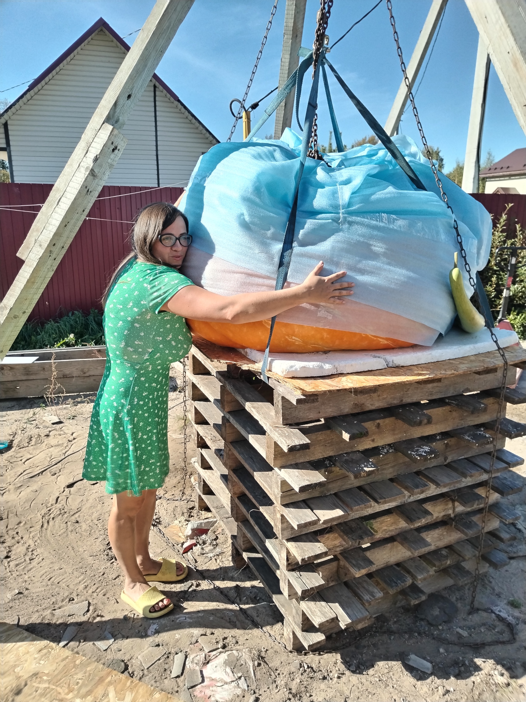 A giant pumpkin weighing 350 kg was sent to Kazakhstan. Video of loading - My, Garden, Pumpkin, Giant pumpkin, Giants, Gigantomania, Vegetables, Video, Video VK, Longpost