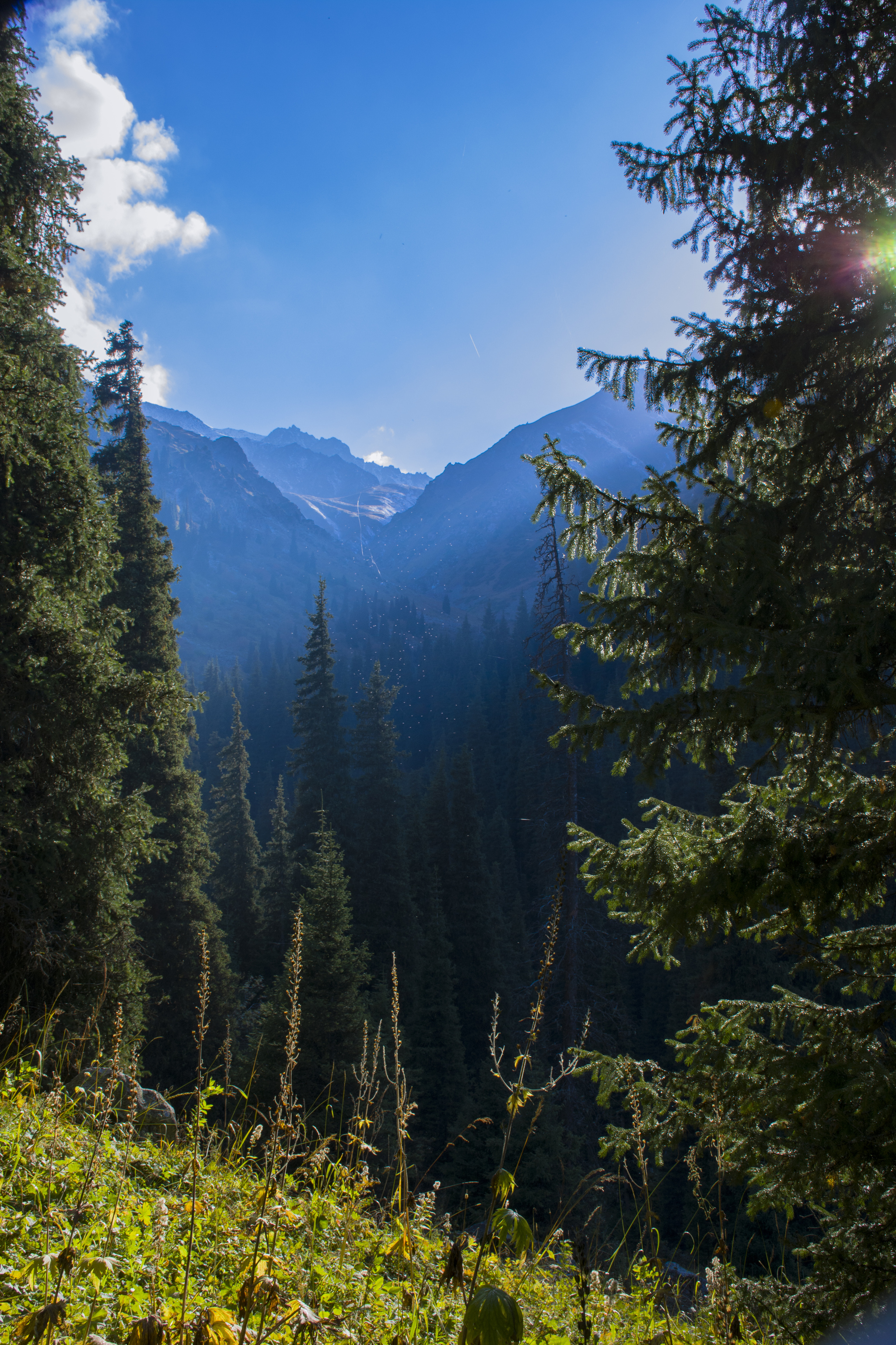 On the way to Terra glade. Almaty - My, The photo, Nature, Kazakhstan, Almaty, Longpost, Terra, The mountains, Zailiyskiy Alatau