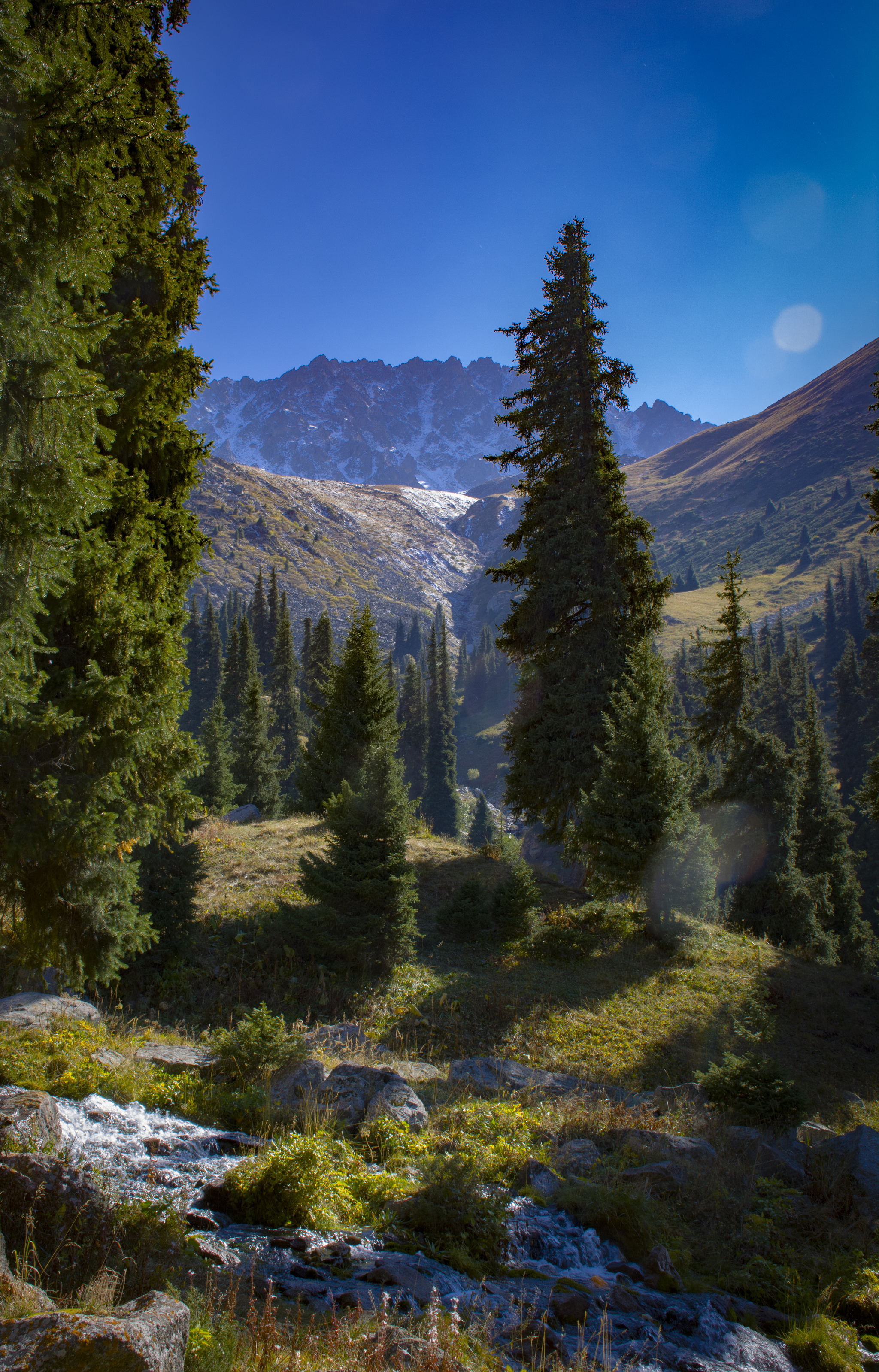 On the way to Terra glade. Almaty - My, The photo, Nature, Kazakhstan, Almaty, Longpost, Terra, The mountains, Zailiyskiy Alatau