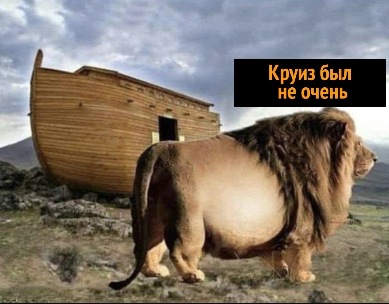 Meat platter - The ark, Noah's ark, Humor, Picture with text, a lion, Longpost, Repeat