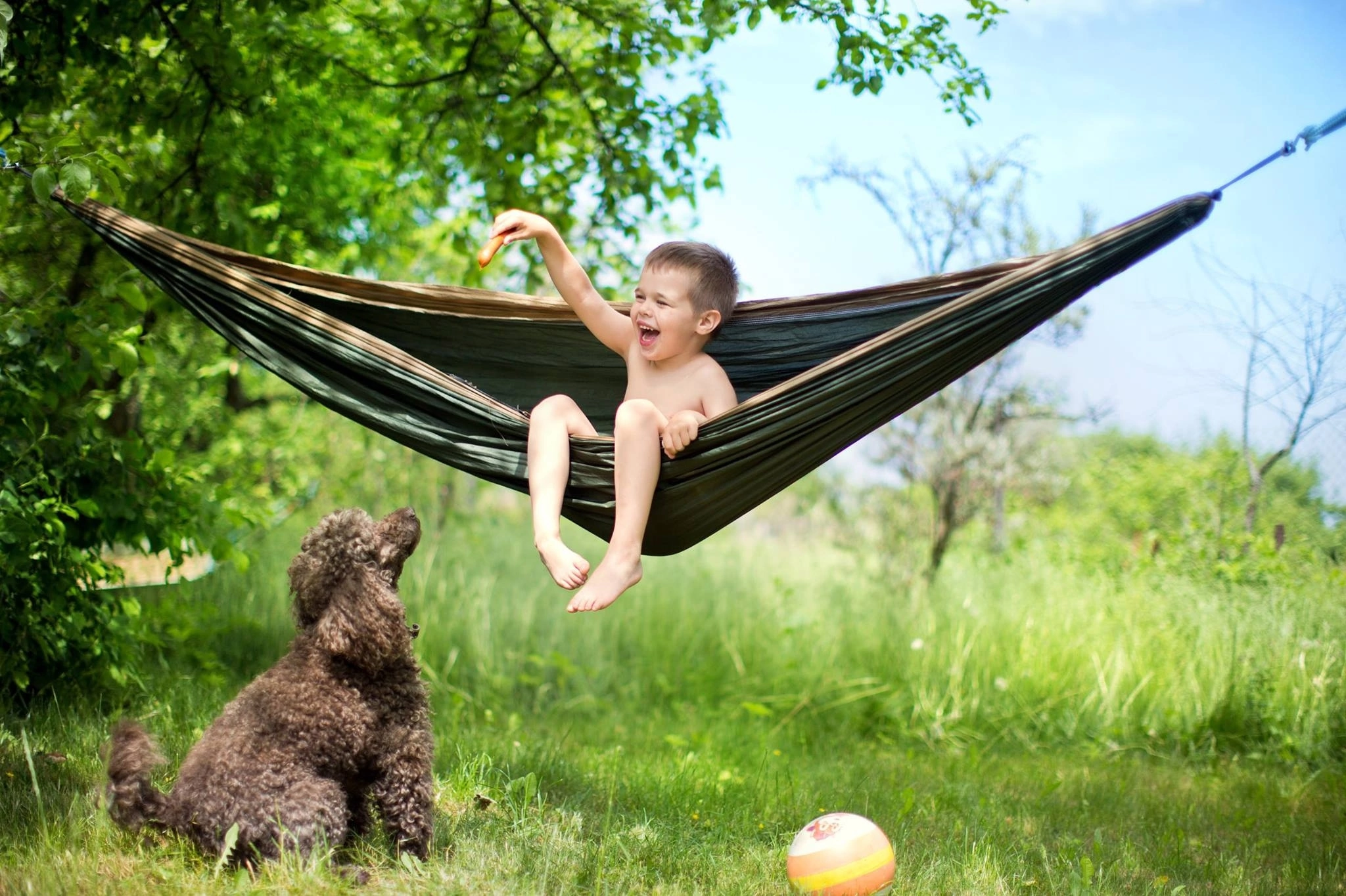 Baby and Poodle - My, Poodle, Children, Dog, The photo