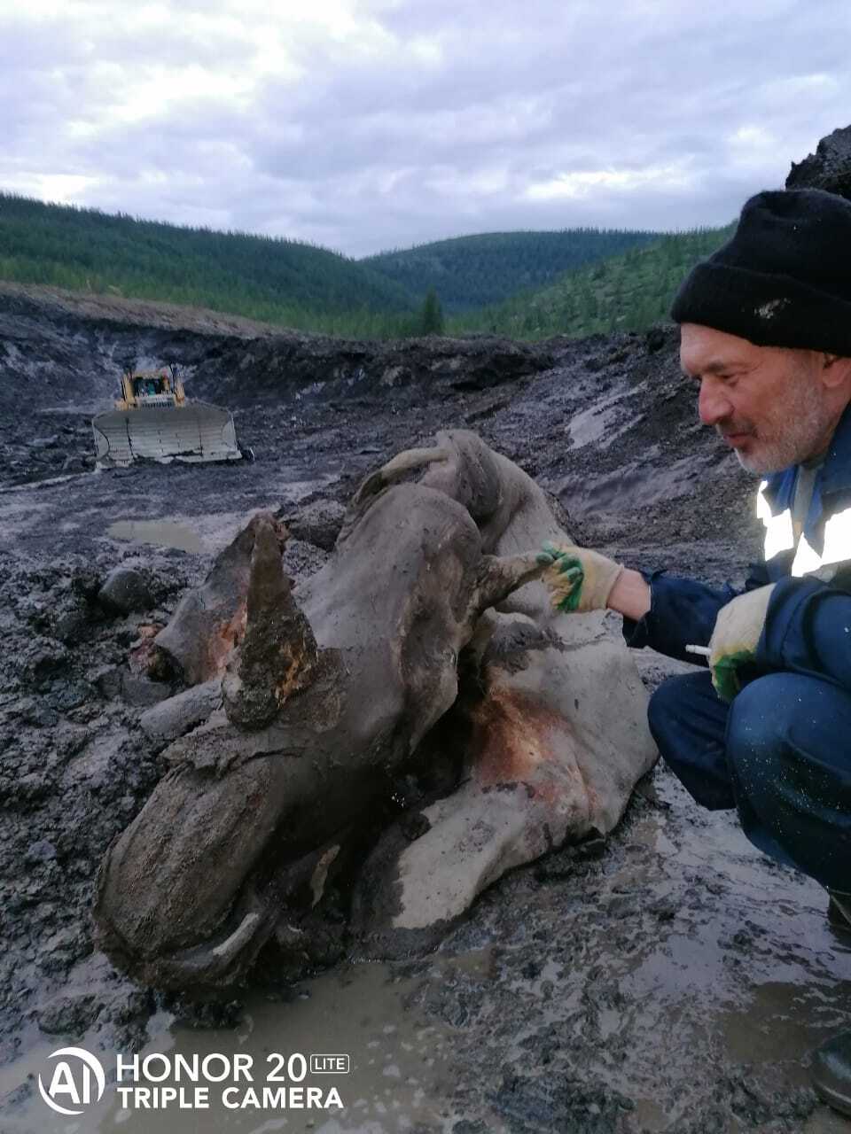 Dinosaur found at Mezhdurechensk open pit - Dinosaurs, Excavations, Mezhdurechensk, Kemerovo region - Kuzbass, Longpost, Repeat