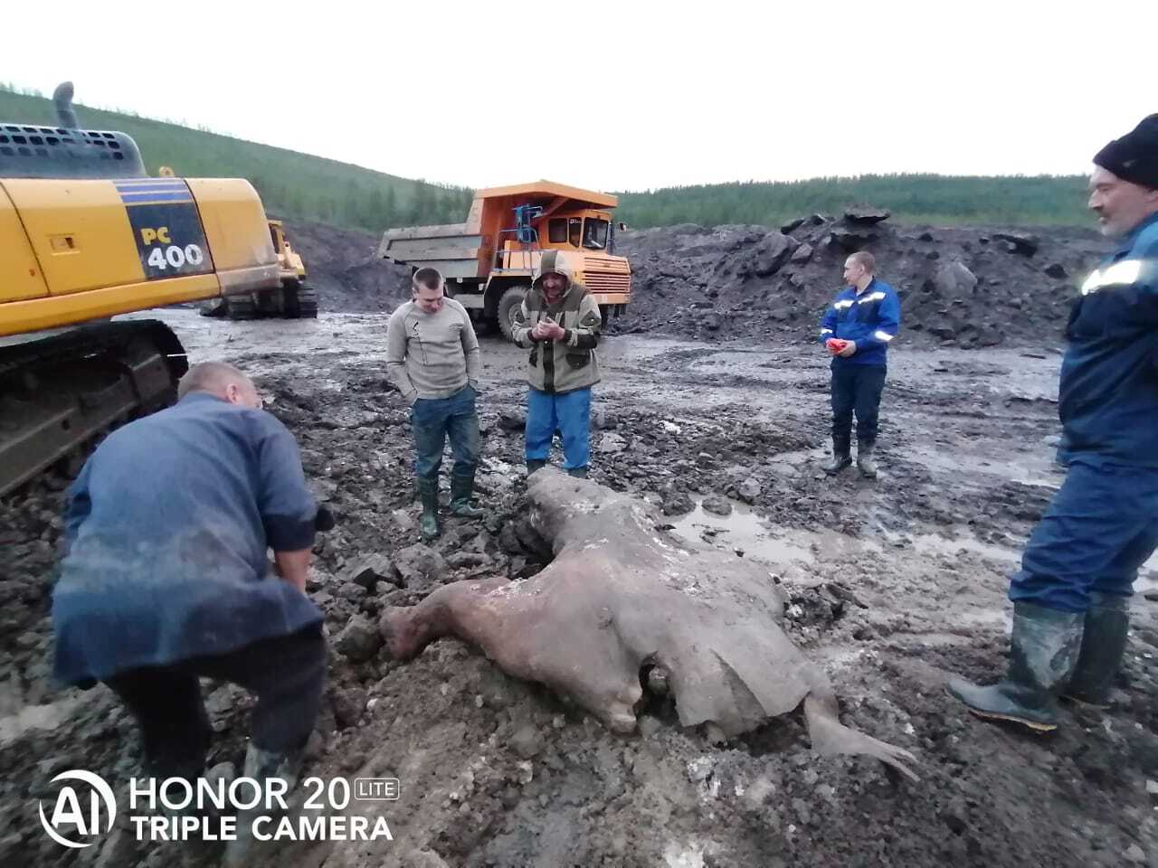 Dinosaur found at Mezhdurechensk open pit - Dinosaurs, Excavations, Mezhdurechensk, Kemerovo region - Kuzbass, Longpost, Repeat